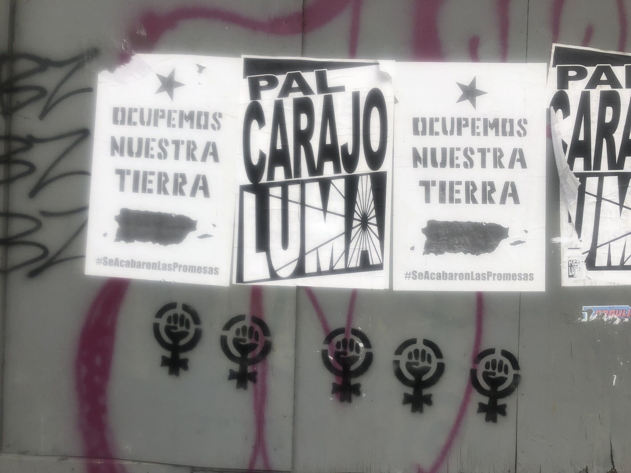 Protest posters lining wall. Two read Ocupemos Nuestra Tierra and the others read Pal Carajo Luma
