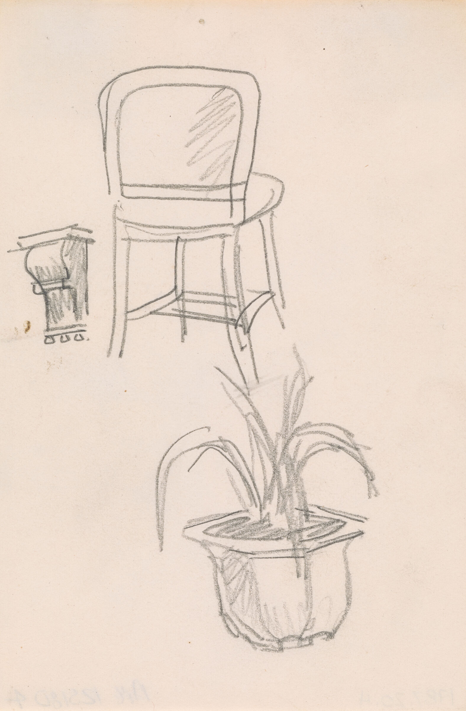 Graphite sketch of a chair, a potted palm and a cornice.