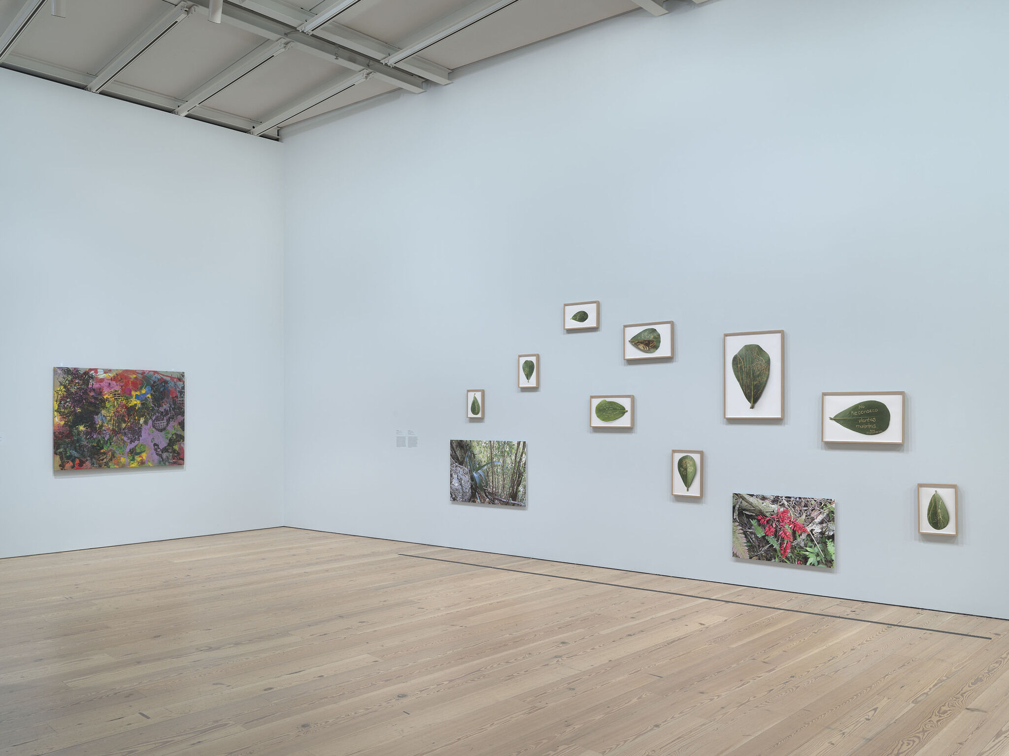 On the left is an abstract multicolored paintings, and on the right various paintings of leaves.
