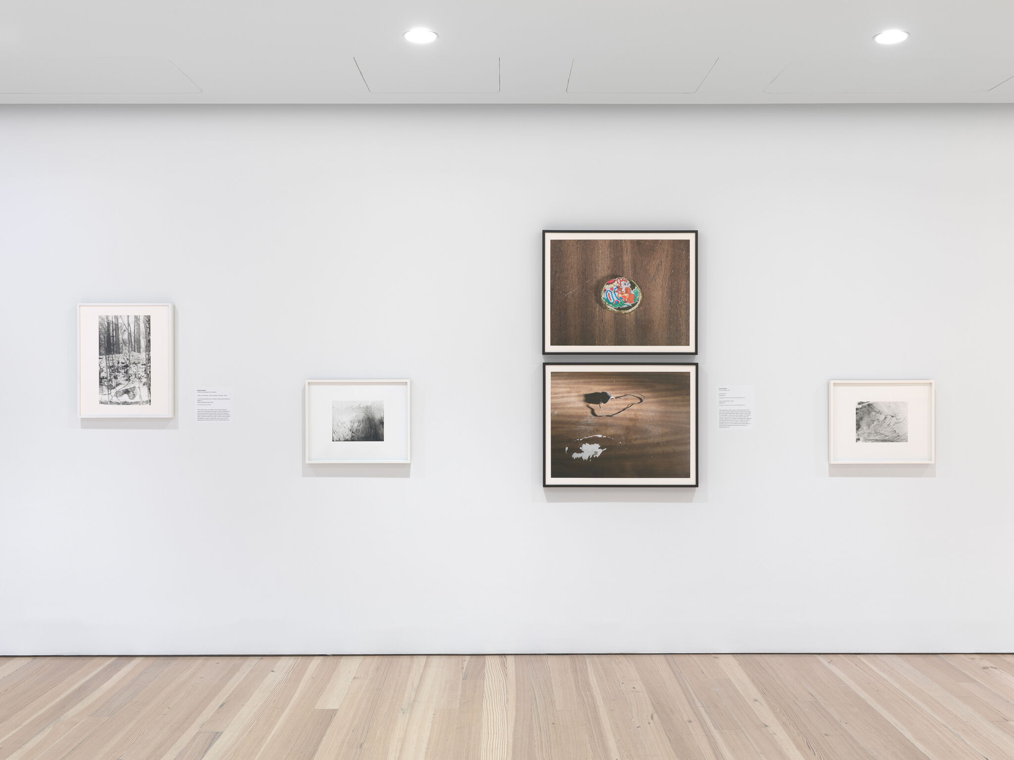 Artworks in a light-filled gallery.
