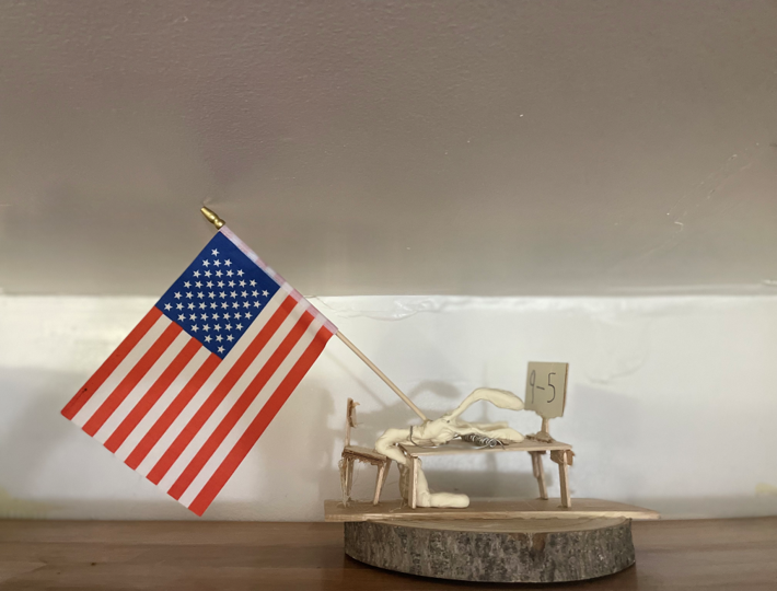 Organic sculpture with an American flag incorporated in.