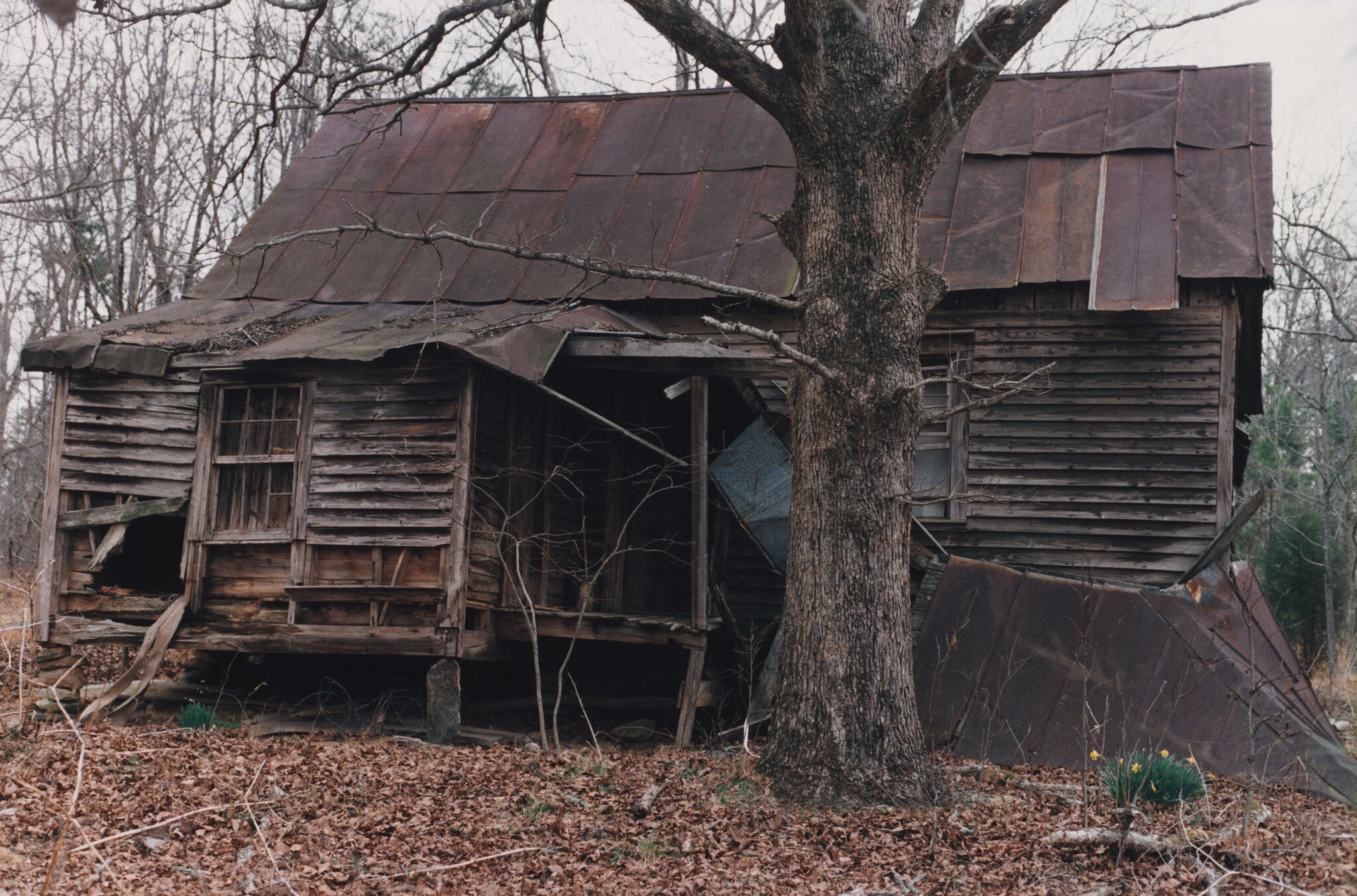 A photograph of a small wooden house that is very dilapidated. 