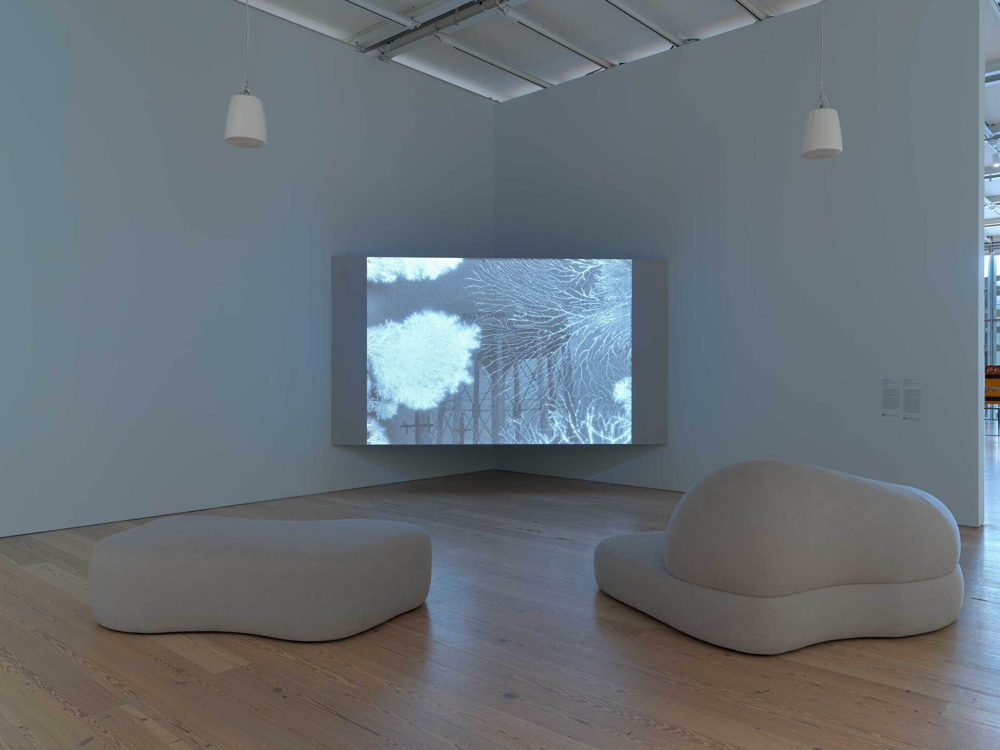 Two small white couches facing a projector with a black and white image of leaves.