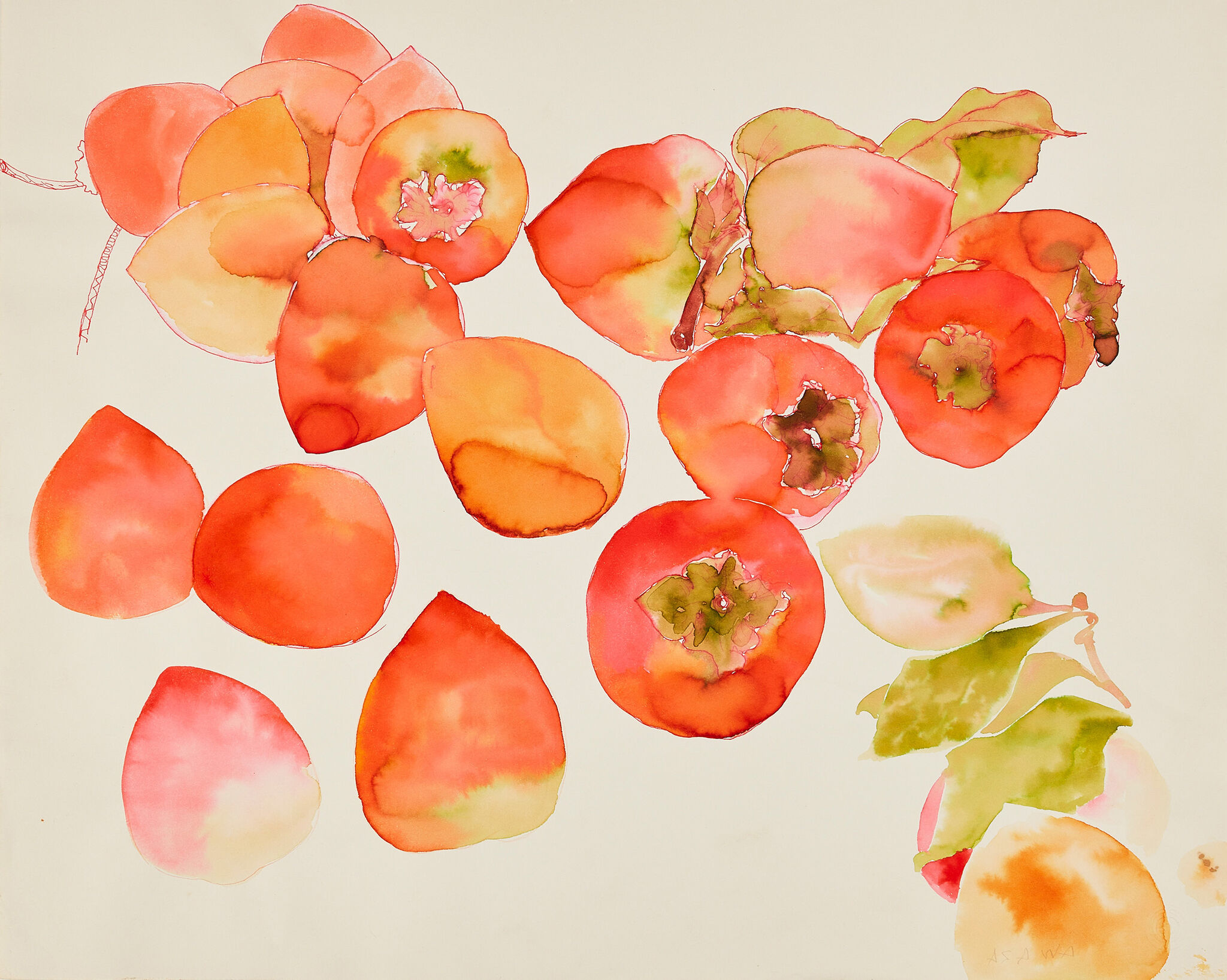 A watercolor painting of persimmons in red, orange, and pink hues