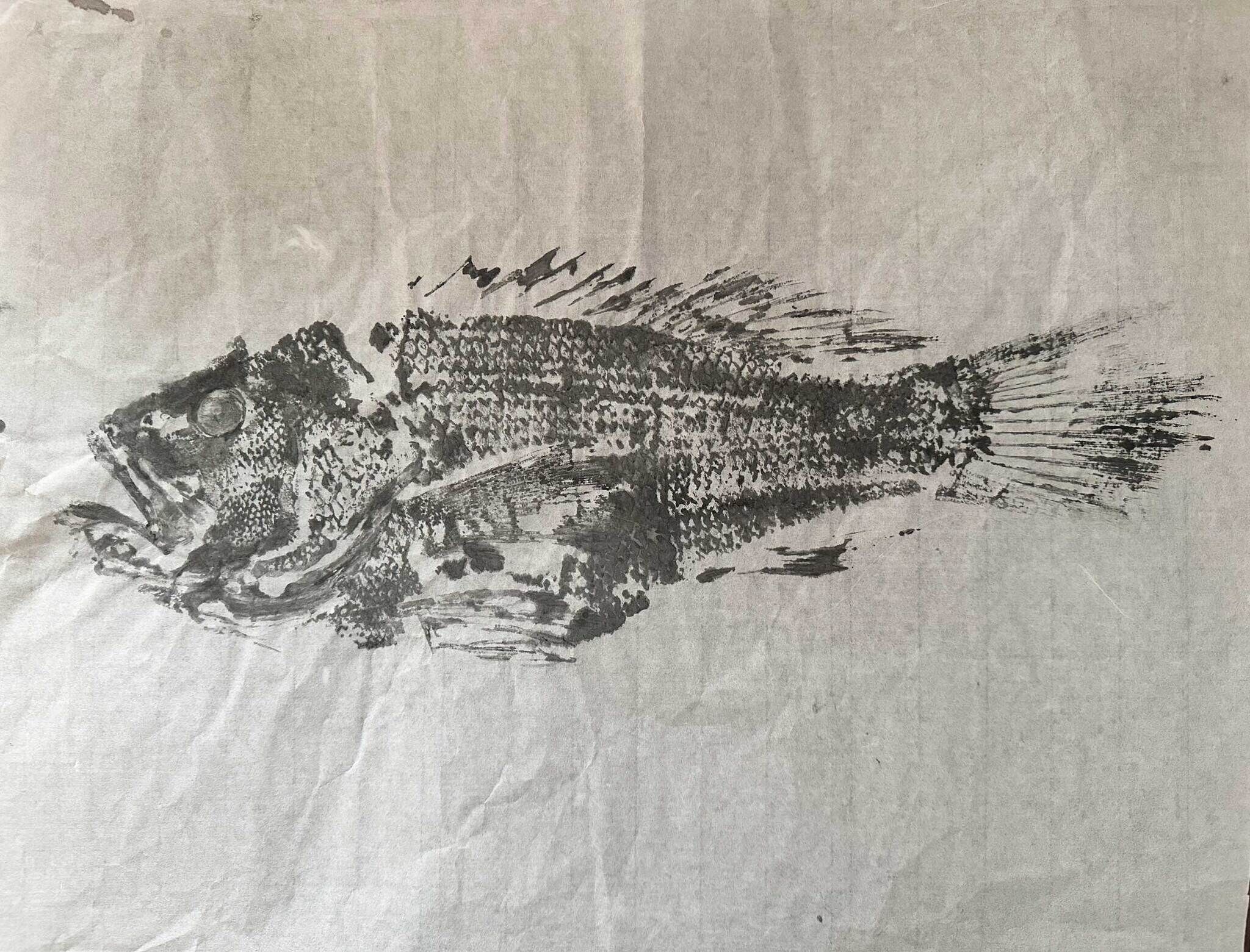 A black ink print of a sea bass fish on white parchment.