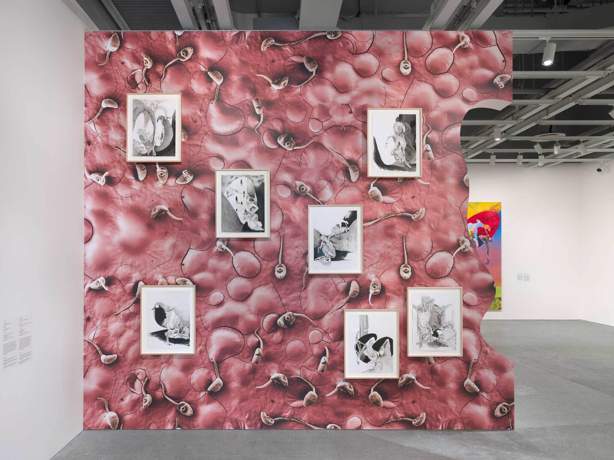 A wall with one edge that is a squiggle. The wall is red and looks like the interior of a human body, with seven black and white abstract paintings in frames placed on the wall.
