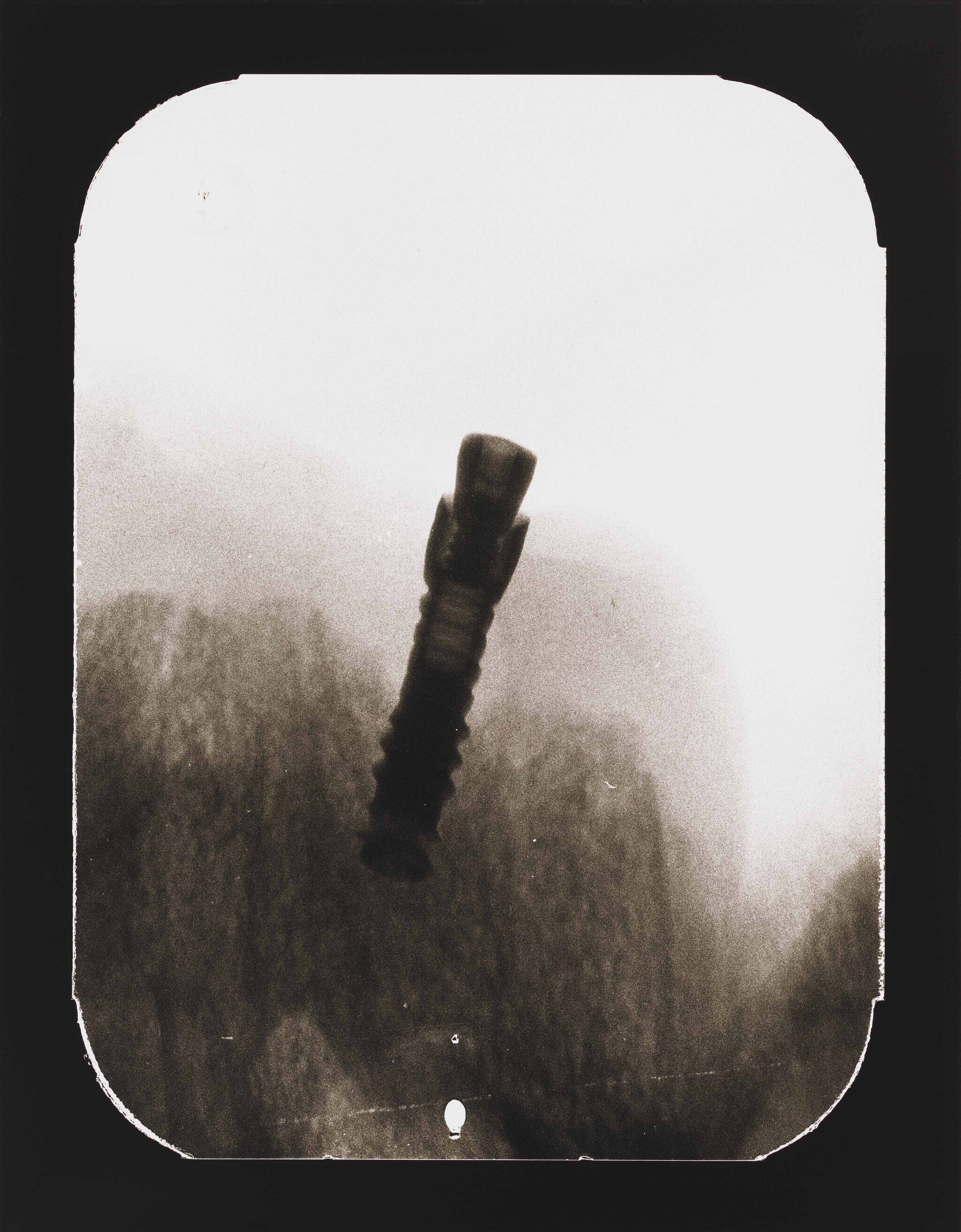 A black and white photograph of abstract nature with an overlay of a nail x ray.