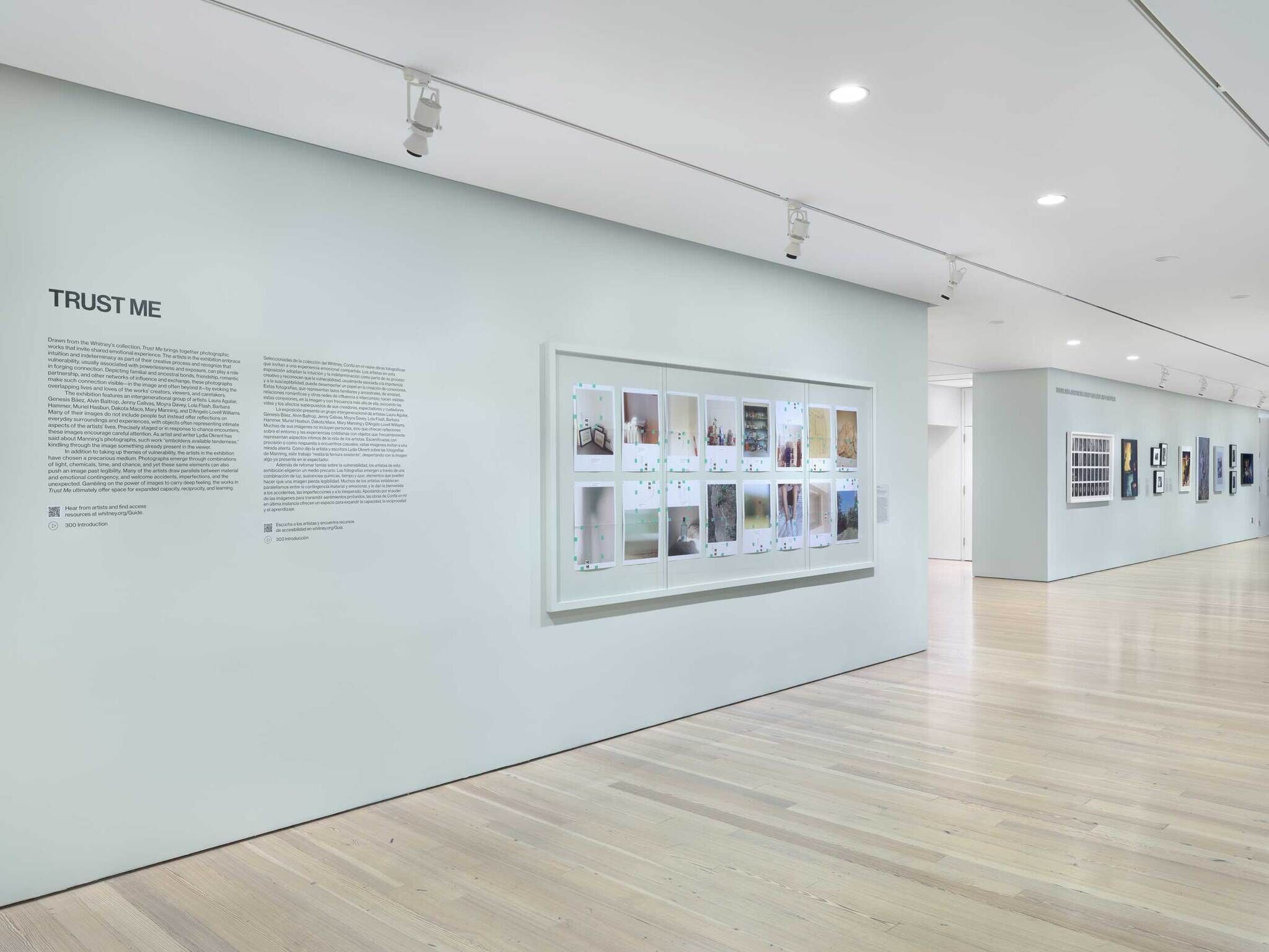 A picture of a hallway with the words Trust Me and text on the wall, and photographs displayed in a neat grid. Further down are more photographs on the wall.