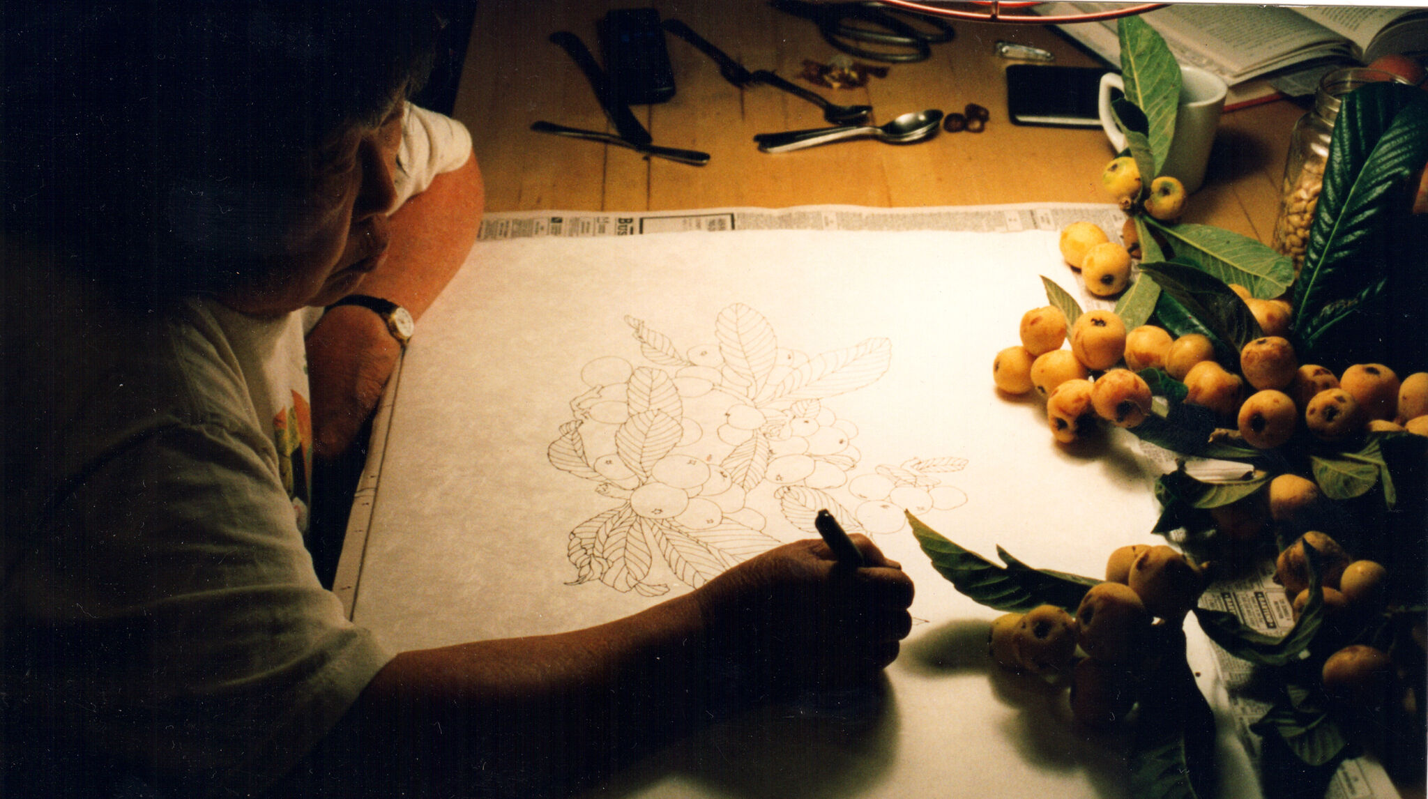 In a dark room a woman draws fruit while sitting at a table.