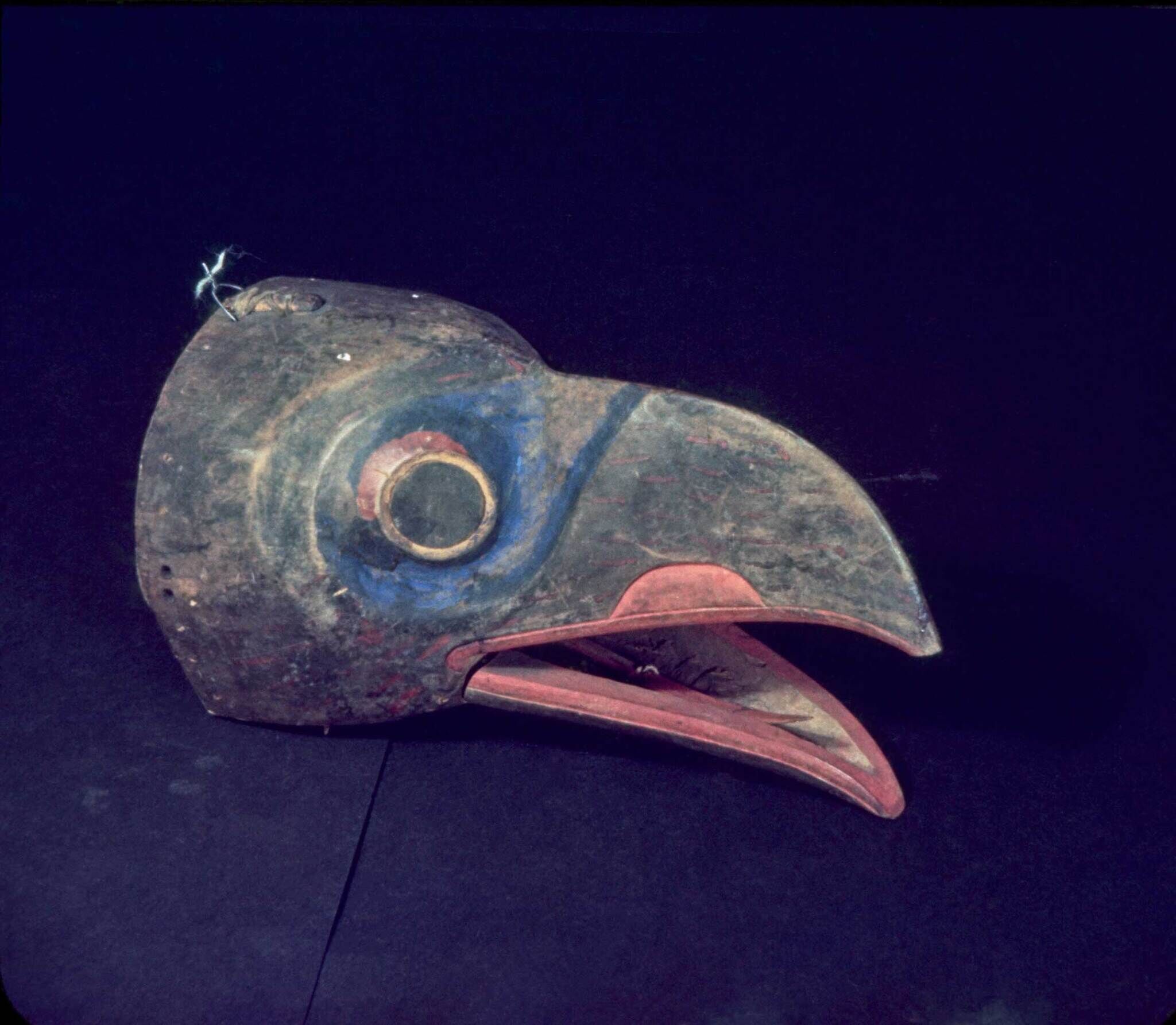A decorative bird mask on a blue background.