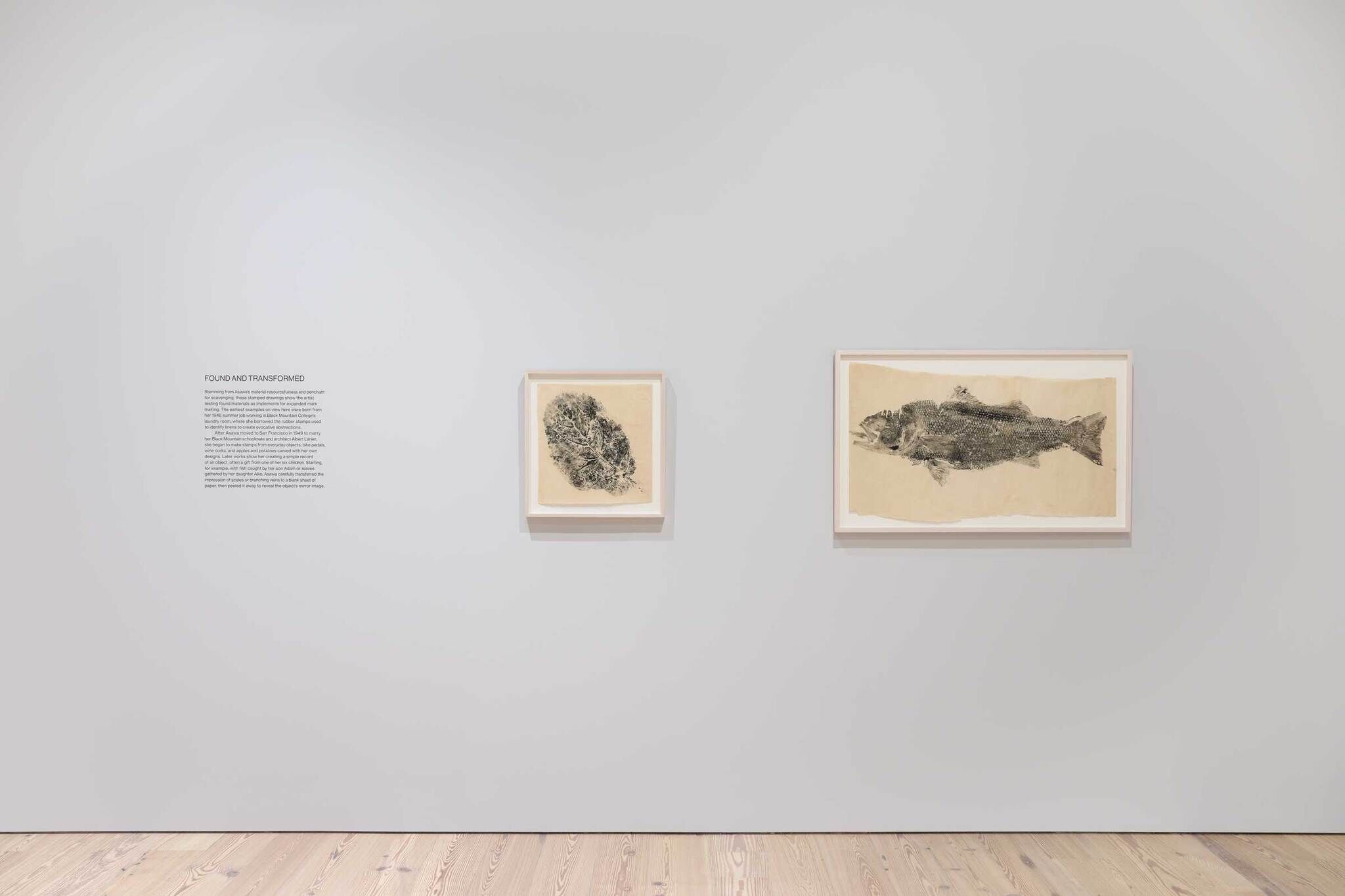 A paragraph of text on the wall next to two ink prints of a leaf and a fish.