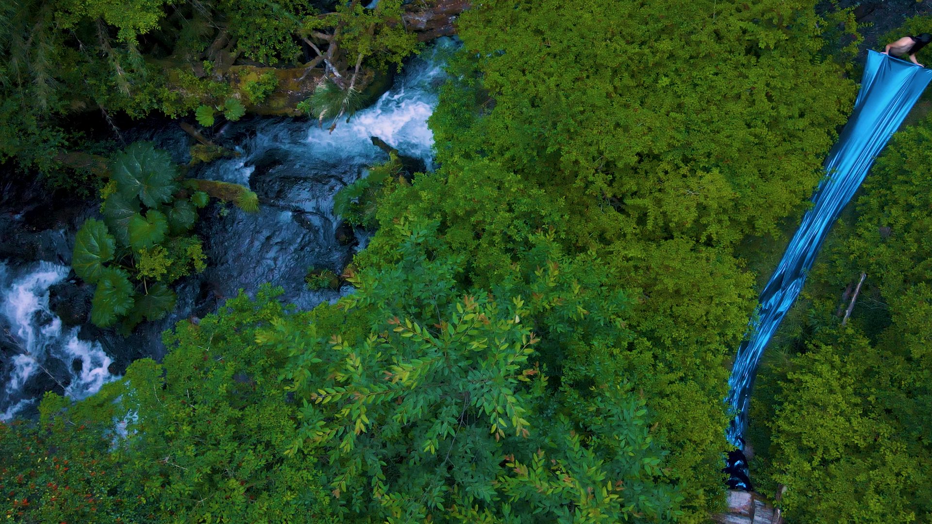 Aerial view of a person lying on a hammock over a lush forest with a river running below.