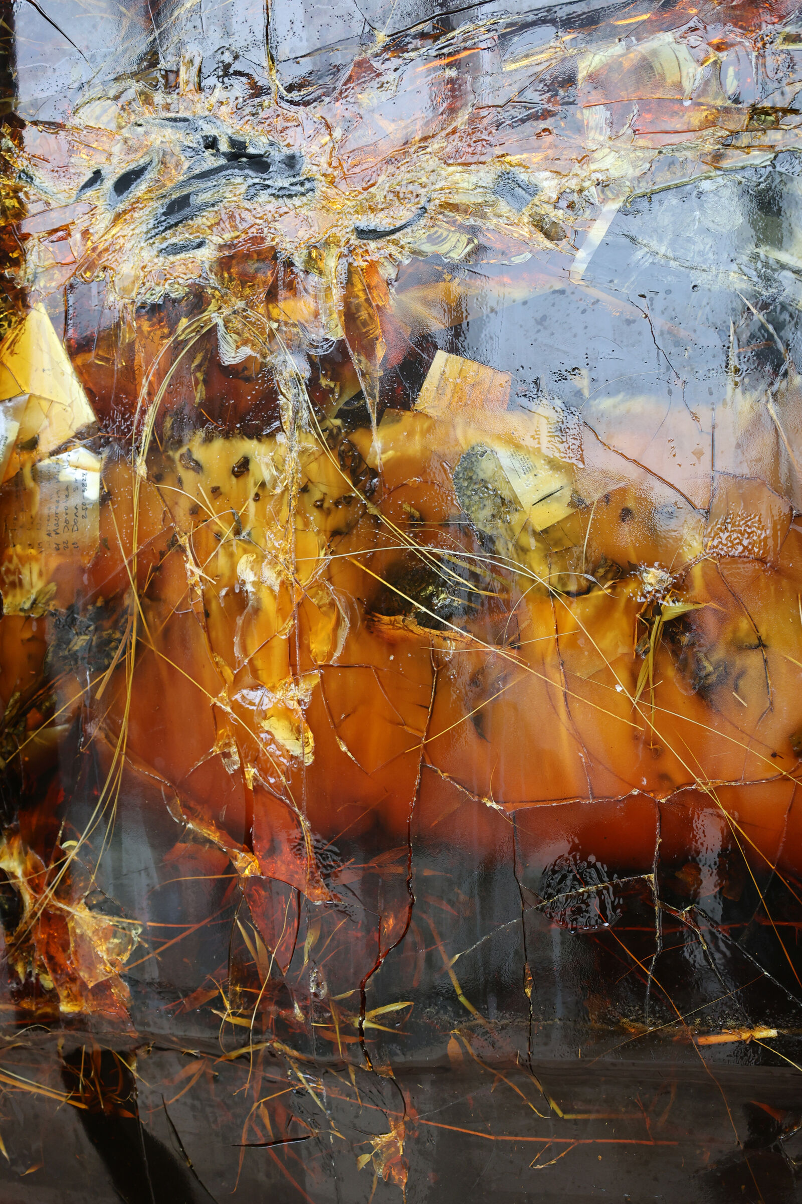 Abstract close-up of amber resin enveloping an array of materials including archival documents. 