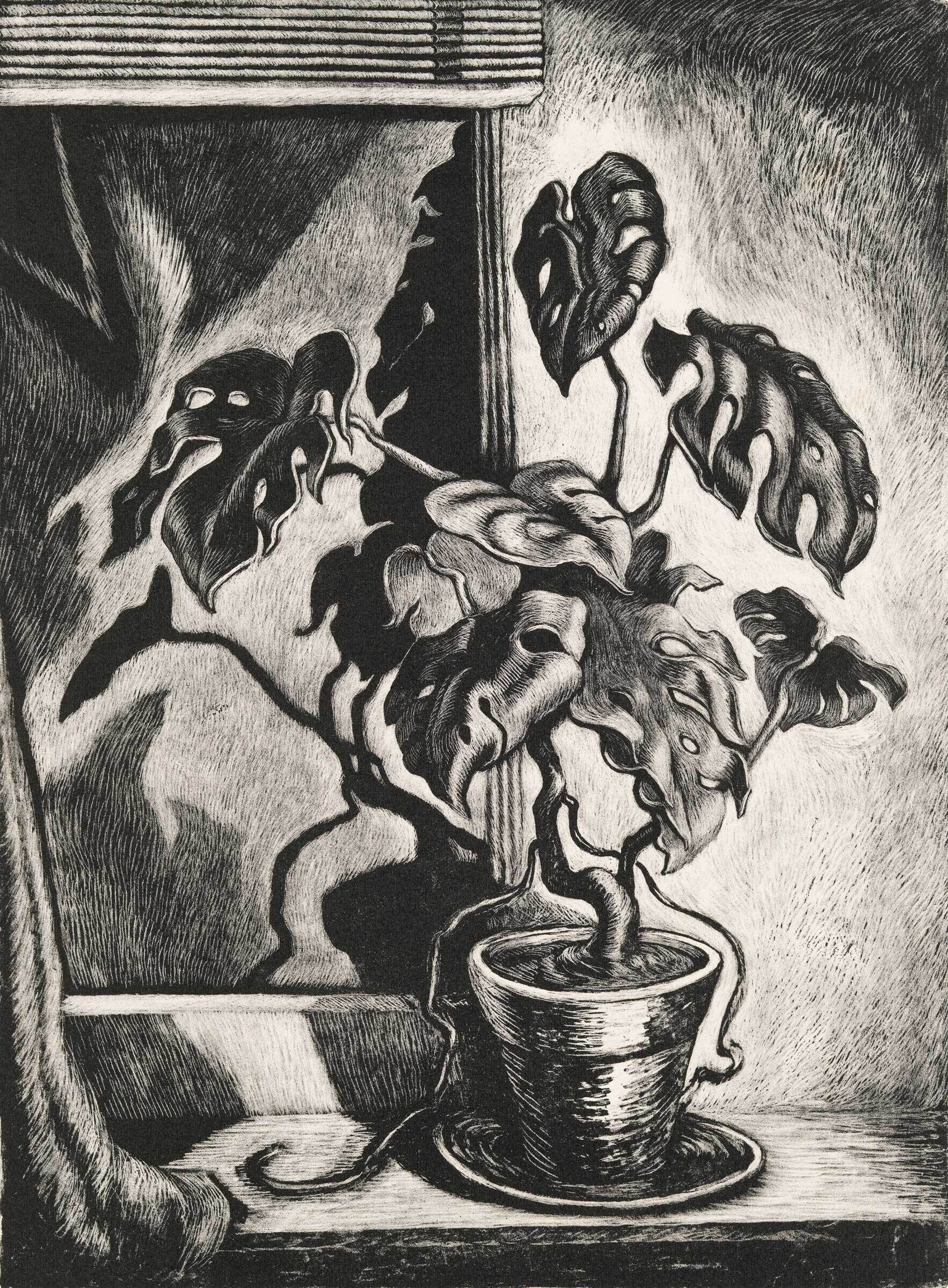 Black and white etching of a potted plant with large, twisted leaves by a window, casting dramatic shadows.