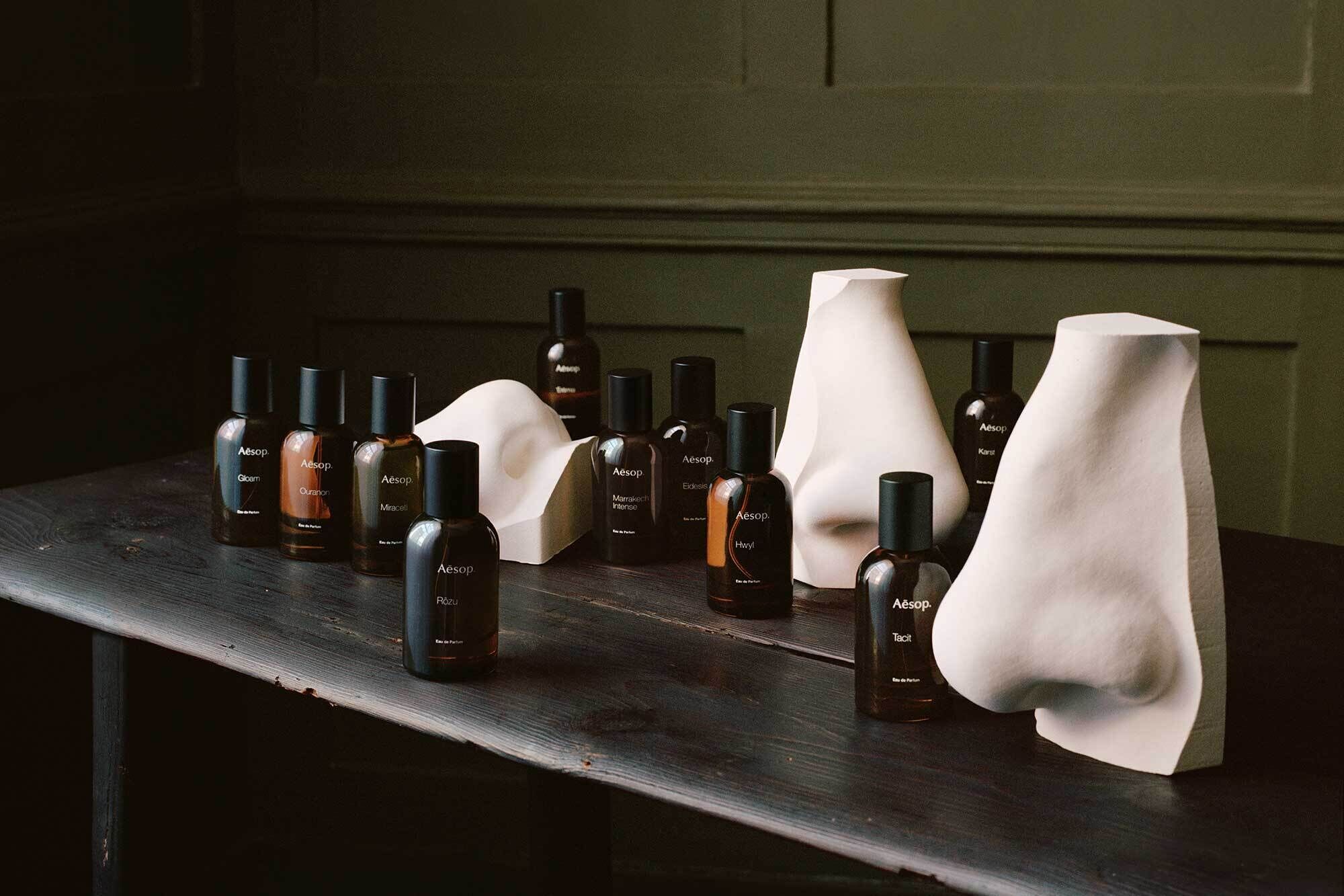 Perfume bottles sit on a counter alongside plaster sculptures of noses.