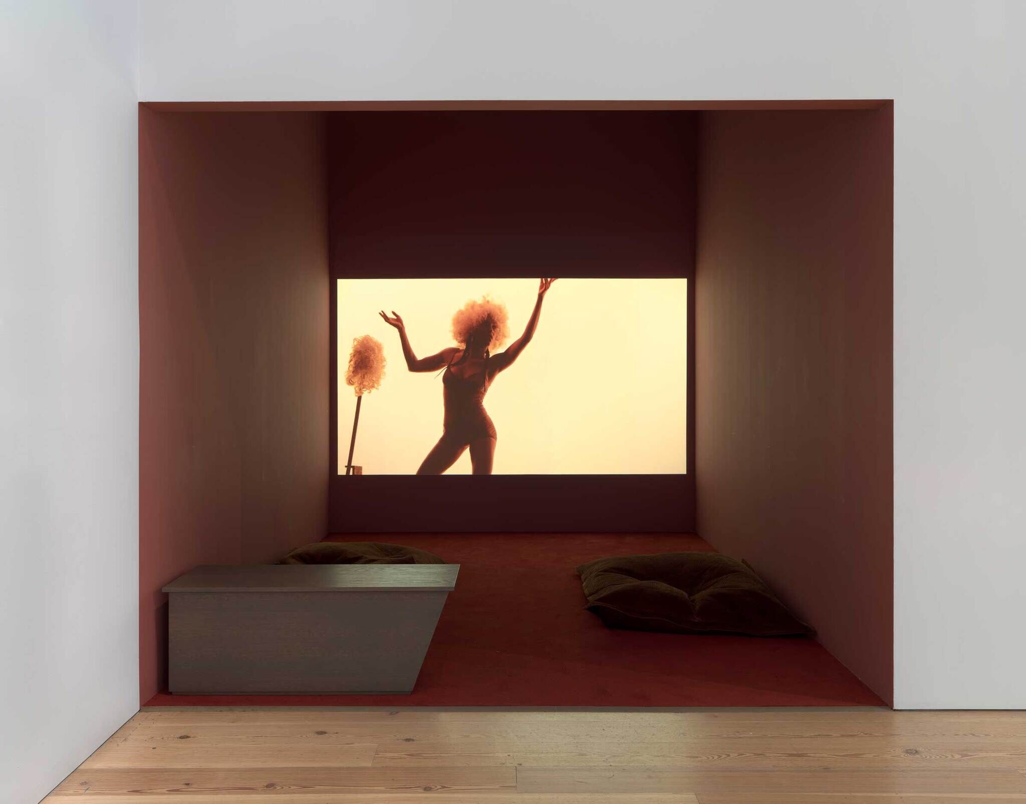 Silhouette of a person with an afro dancing in a sunlit window, with a minimalist room interior.