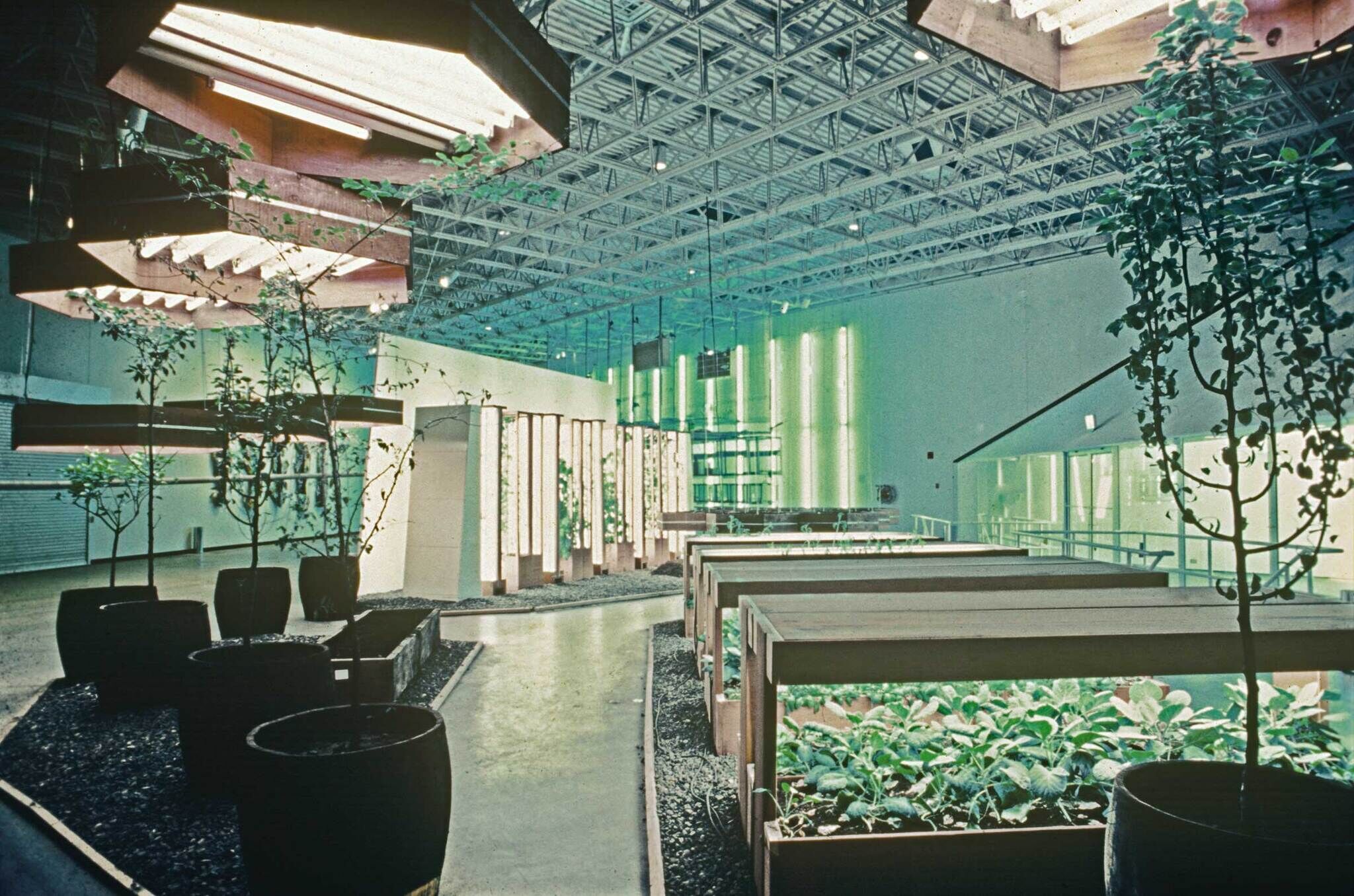 Indoor garden with potted plants and raised beds under large, rectangular grow lights. The space has a high ceiling with exposed beams.