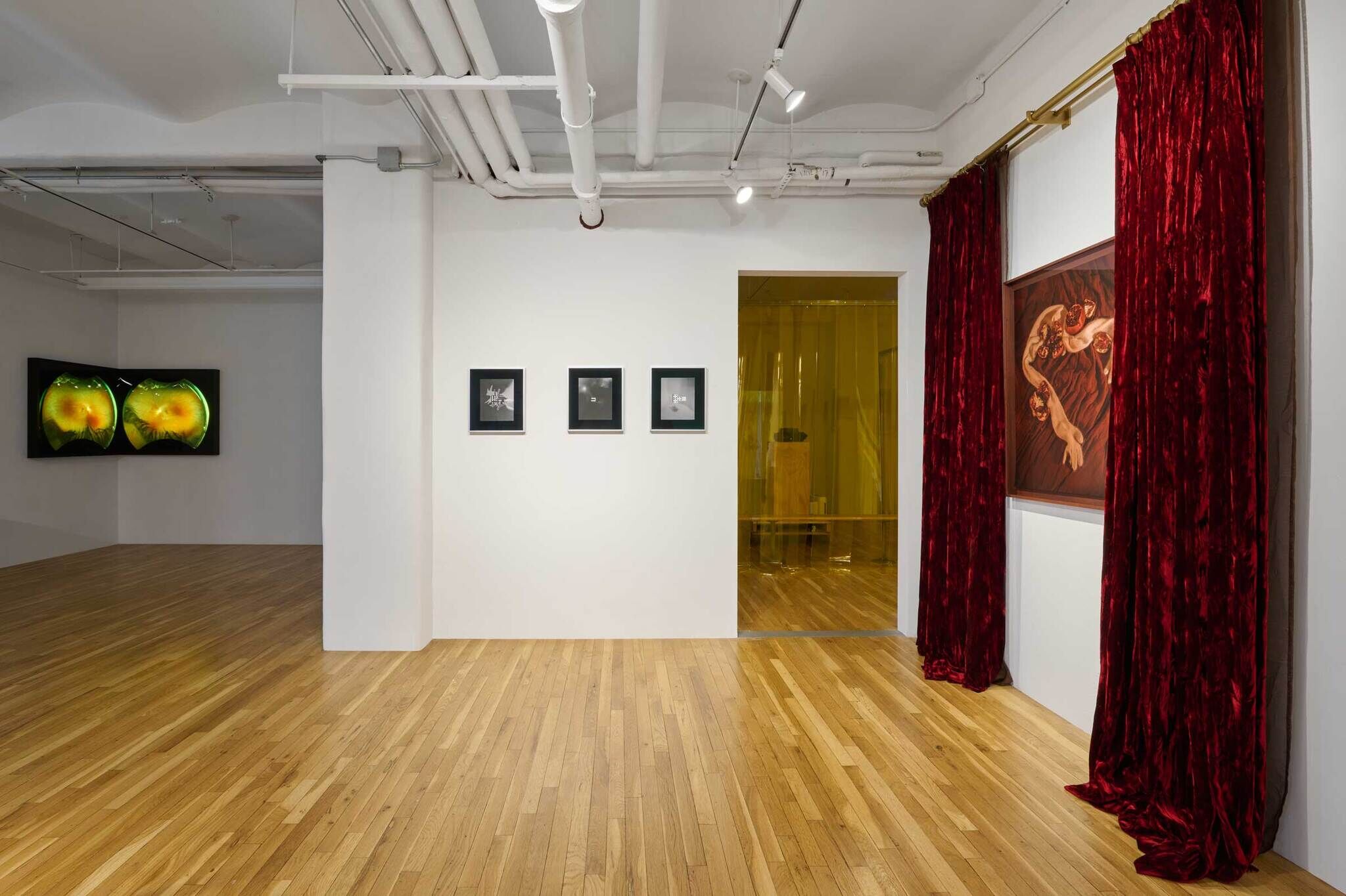 Art gallery with wooden floors, featuring digital art, framed photos, and a painting with red curtains. Yellow-tinted room visible in the background.