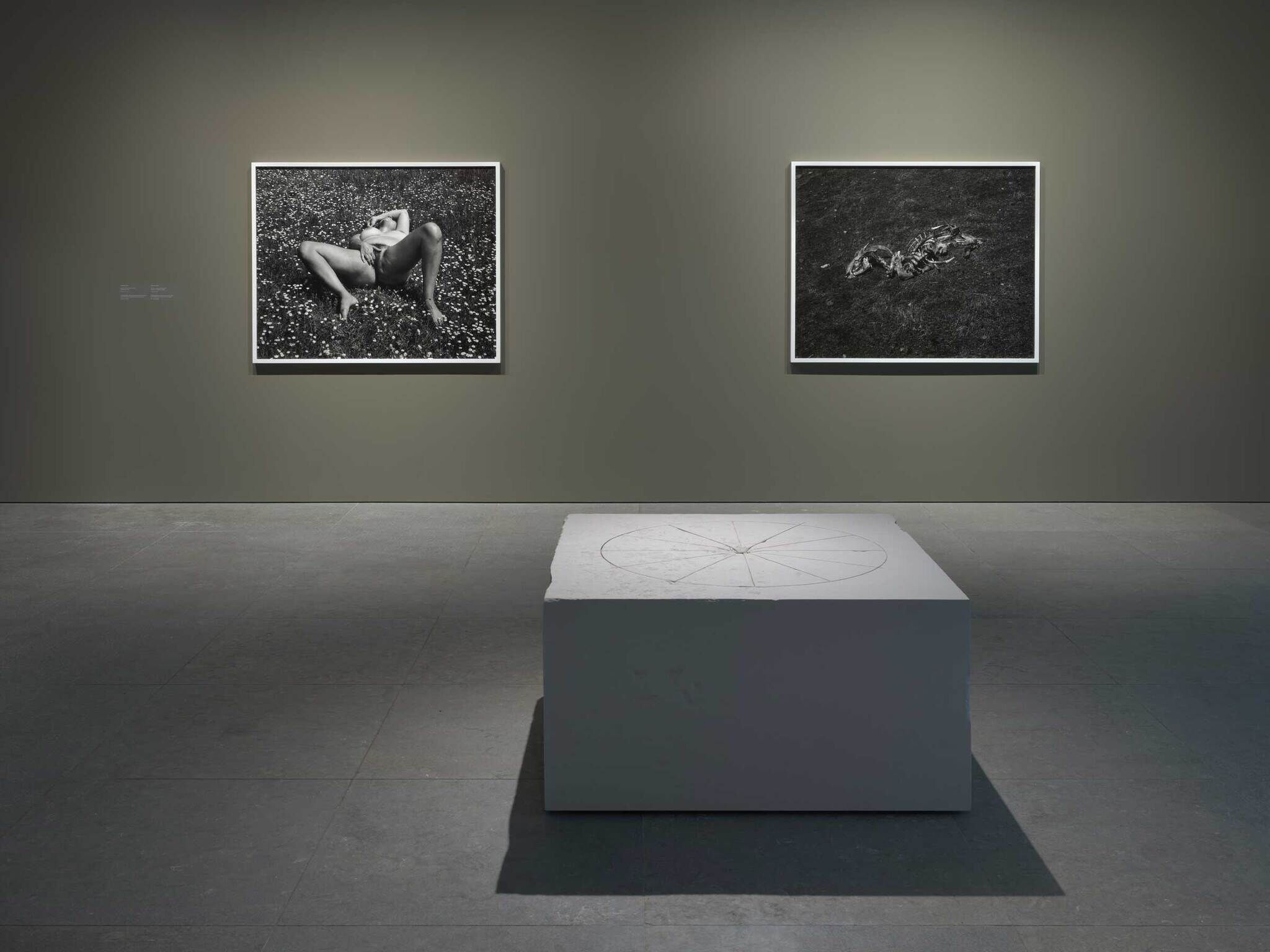 Art gallery with two black-and-white photos on the wall and a white pedestal in the center of the room.