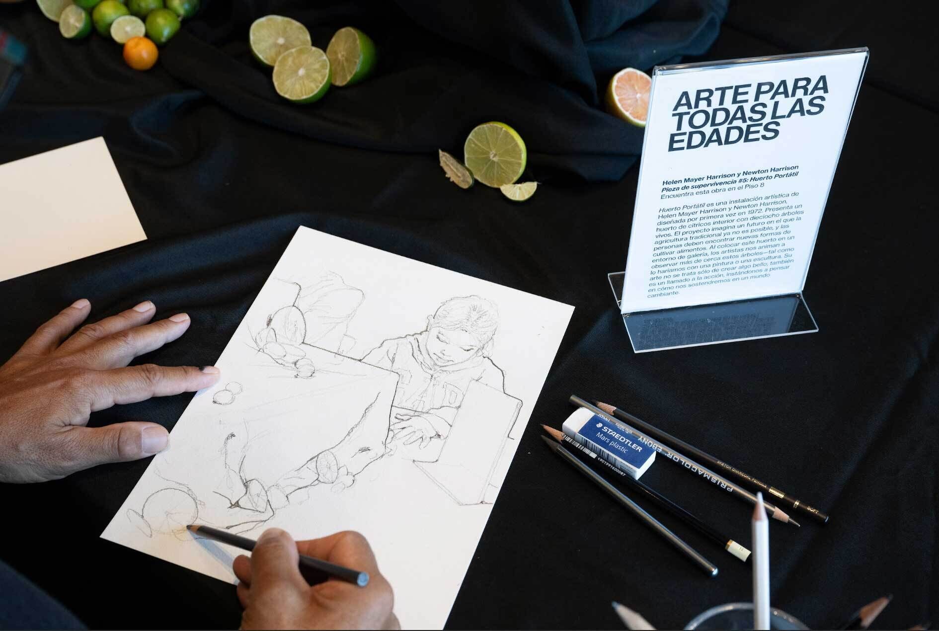 A person sketches on a piece of paper at an art activity table, surrounded by drawing supplies, including pencils and an eraser. The sketch appears to be of a child sitting at a table. In the background, a display of limes and oranges is set on a black cloth, and a sign in Spanish reads "Arte para todas las edades," indicating an all-ages art activity.