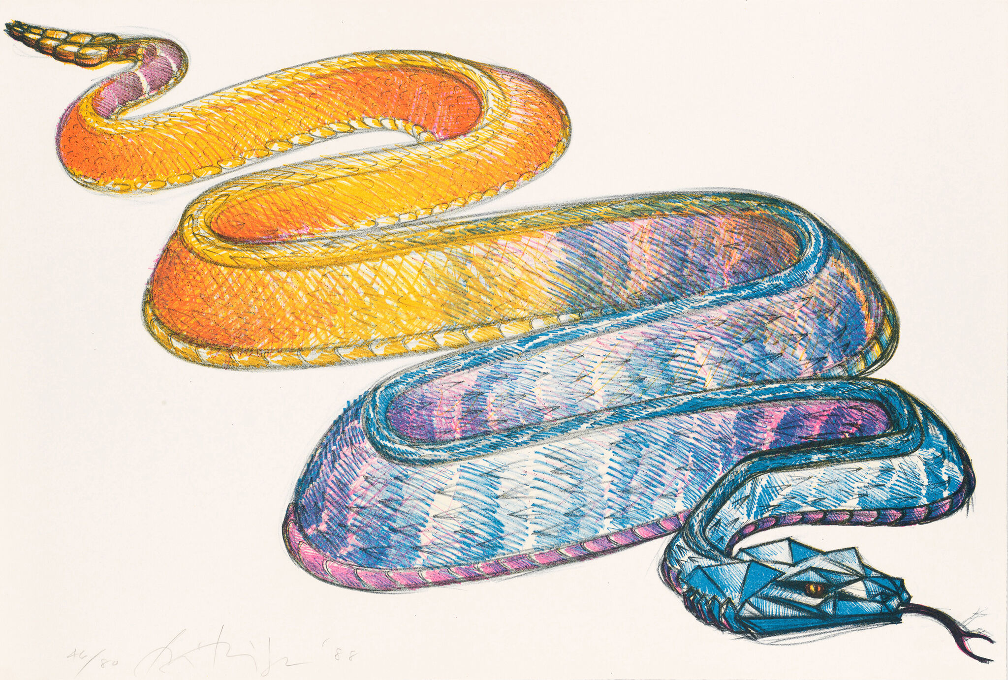 Colorful snake illustration with a geometric blue head and a vibrant body transitioning from orange to blue, coiled in an S-shape.