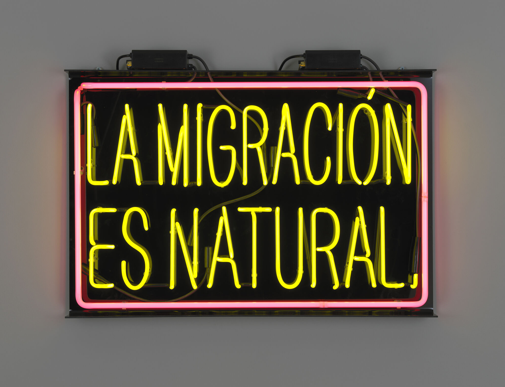 Neon sign with yellow text "LA MIGRACIÓN ES NATURAL" on a black background, framed by a pink border.