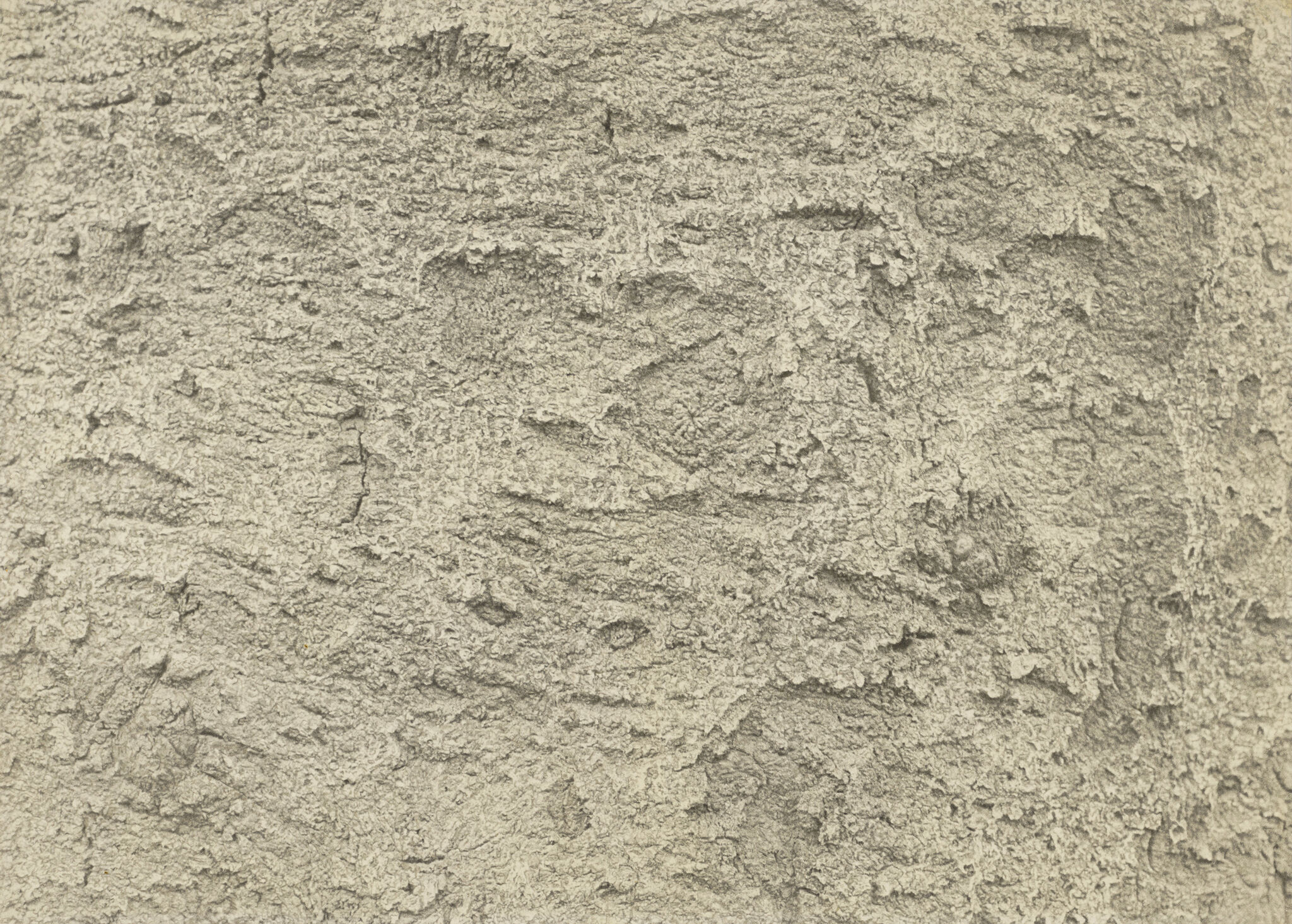 Close-up of a textured, rough beige surface with irregular patterns and cracks.