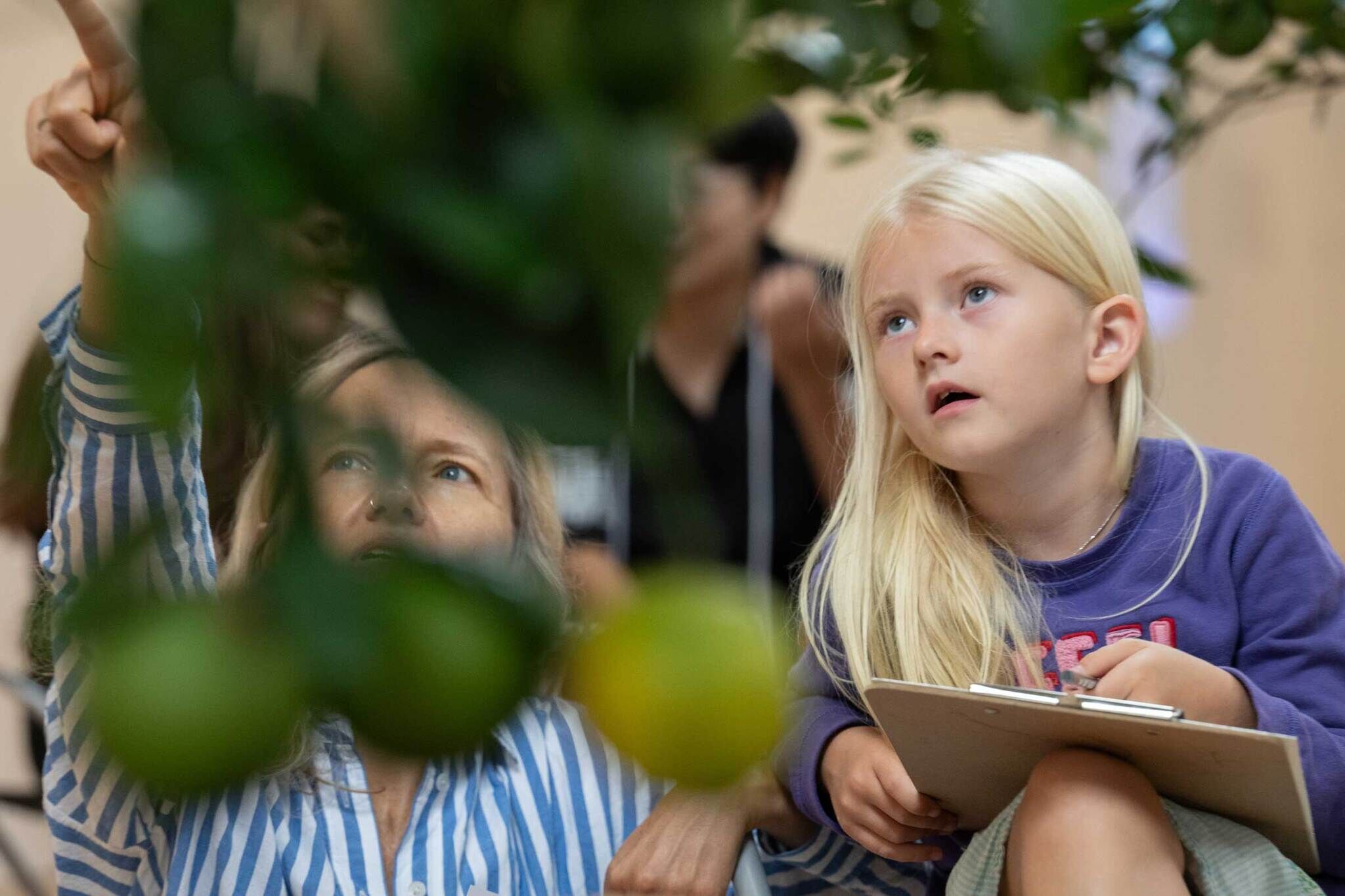 In an indoor gallery setting, a family of two engage in an art-making moment. On the right, a young person intently observes a blurred citrus fruit, pencil and paper in hand, ready to draw. Meanwhile, the adult gestures towards the trees, pointing out observations.