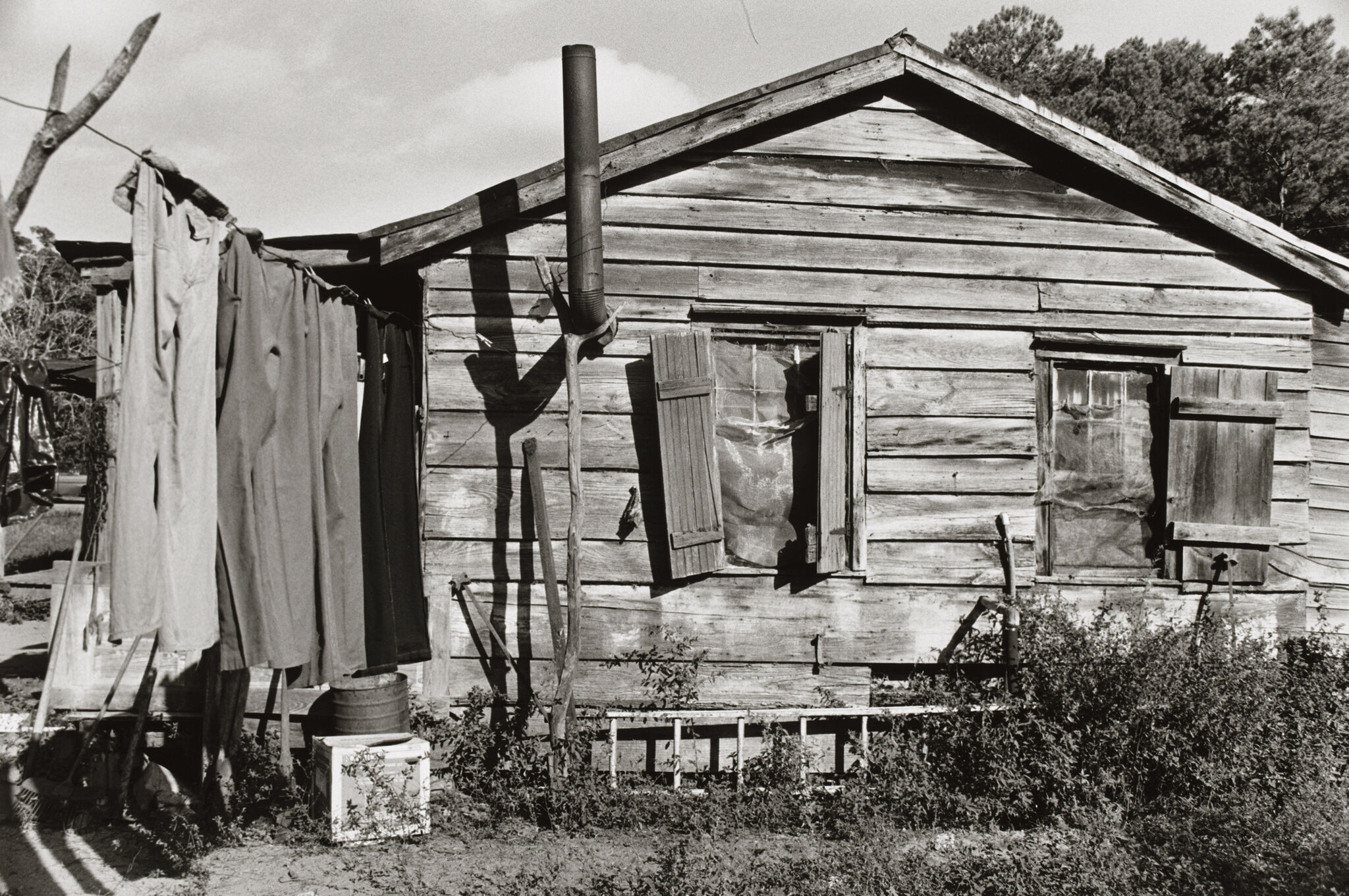 Weathered wooden house with clothes hanging on a line, surrounded by overgrown plants. Two windows with shutters, one partially open.