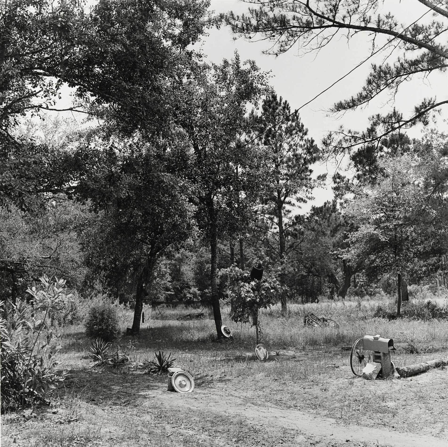 A rural scene with trees, a dirt path, scattered hubcaps, and a mailbox on a post.