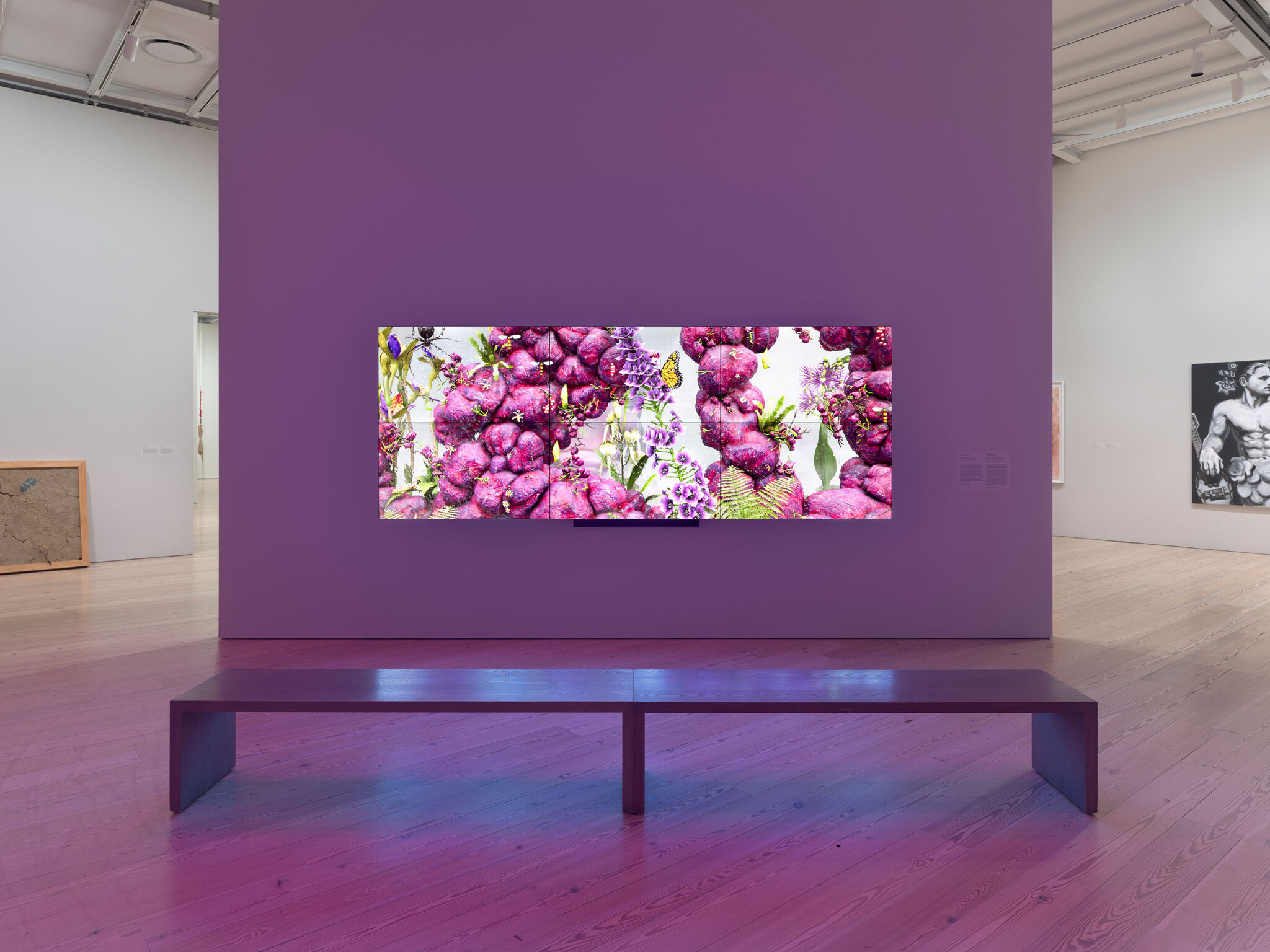 A vibrant digital artwork featuring pink and purple organic shapes is displayed on a purple wall in a modern gallery, with a bench in front.