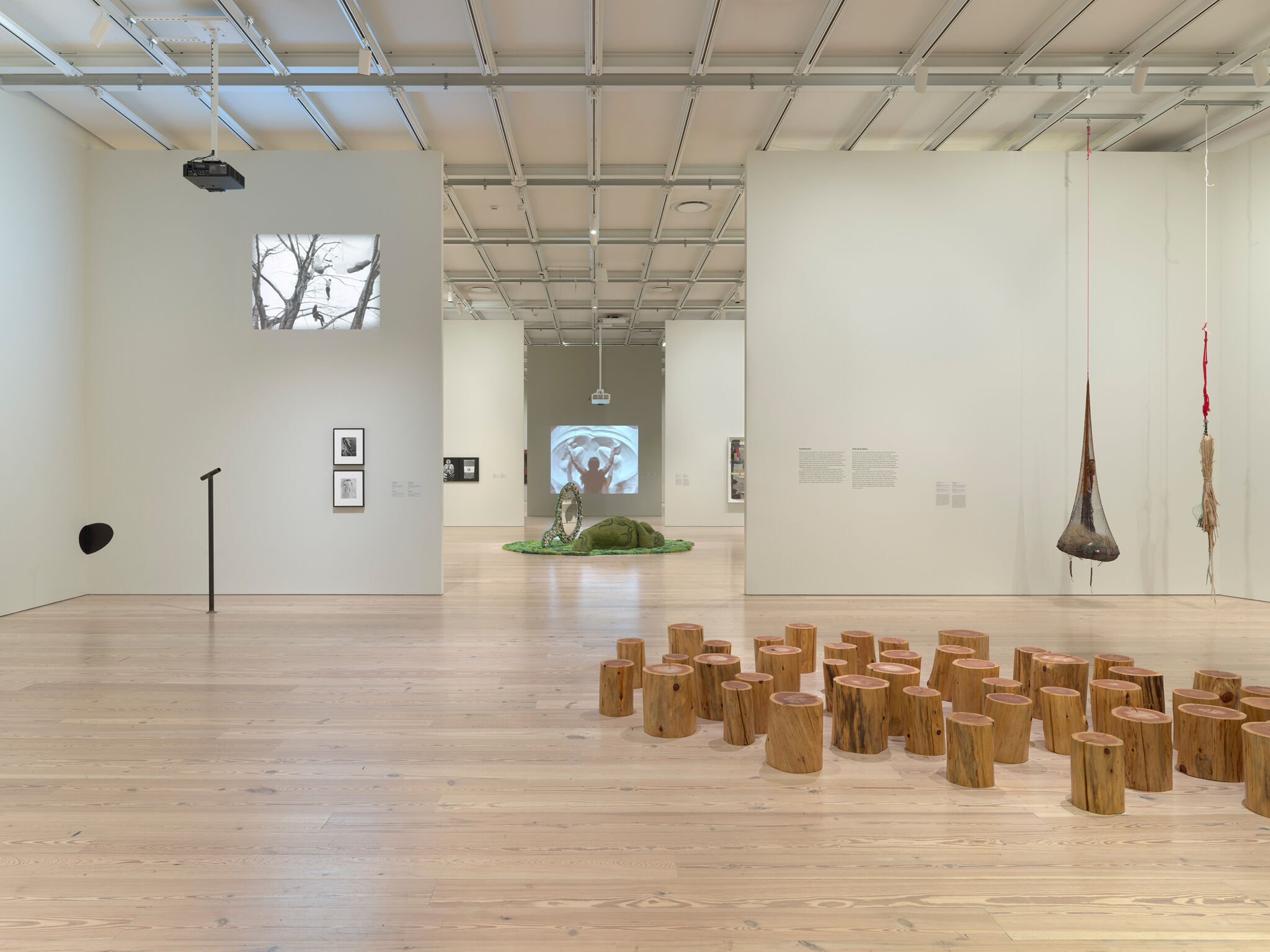 Art gallery with wooden stump installation, hanging sculptures, and wall projections. Bright, spacious room with light wood flooring.