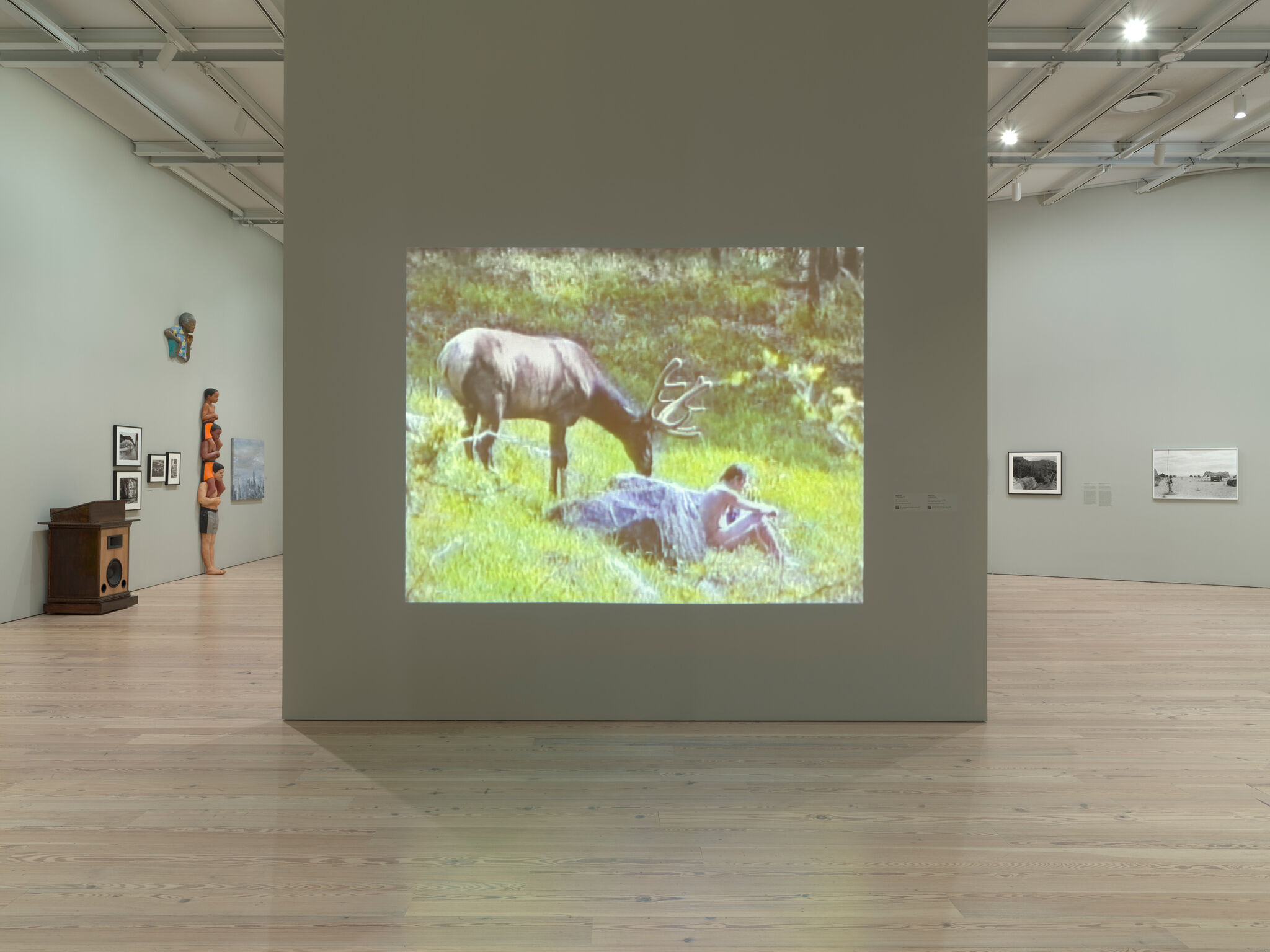 Art gallery with a large video projection of a person lying in grass near a deer. Various artworks and sculptures are displayed on the walls.