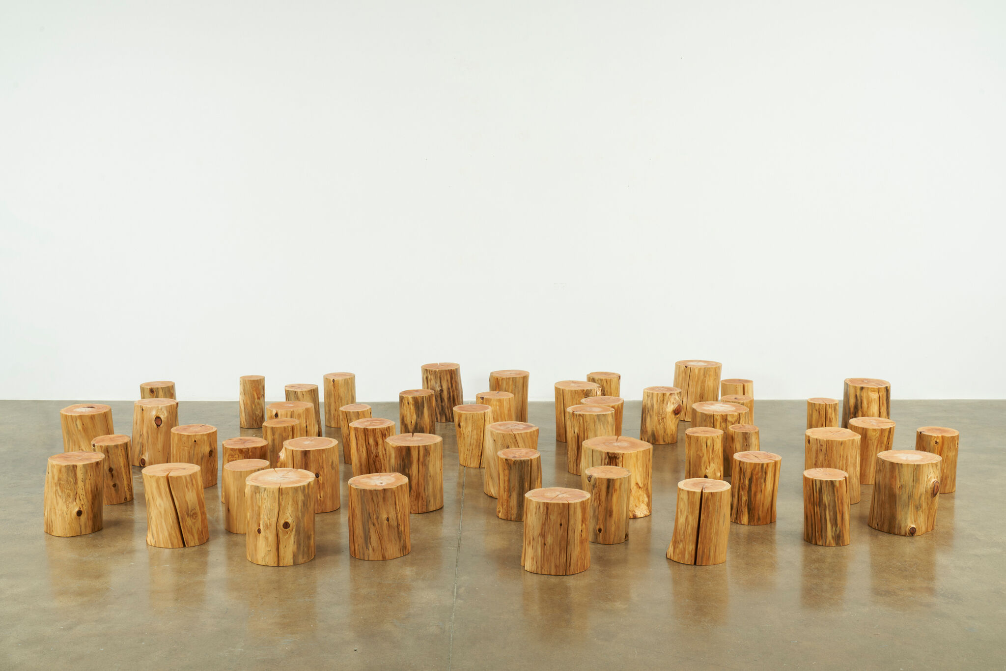 A collection of wooden stumps of varying heights and sizes neatly arranged within a spacious room with a white wall. 