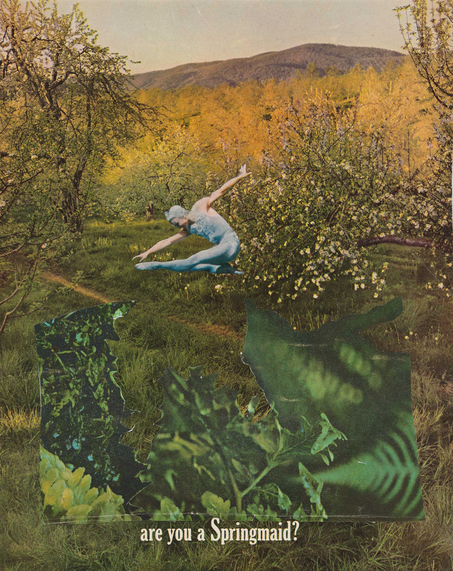 Sixties Surreal | Whitney Museum of American Art