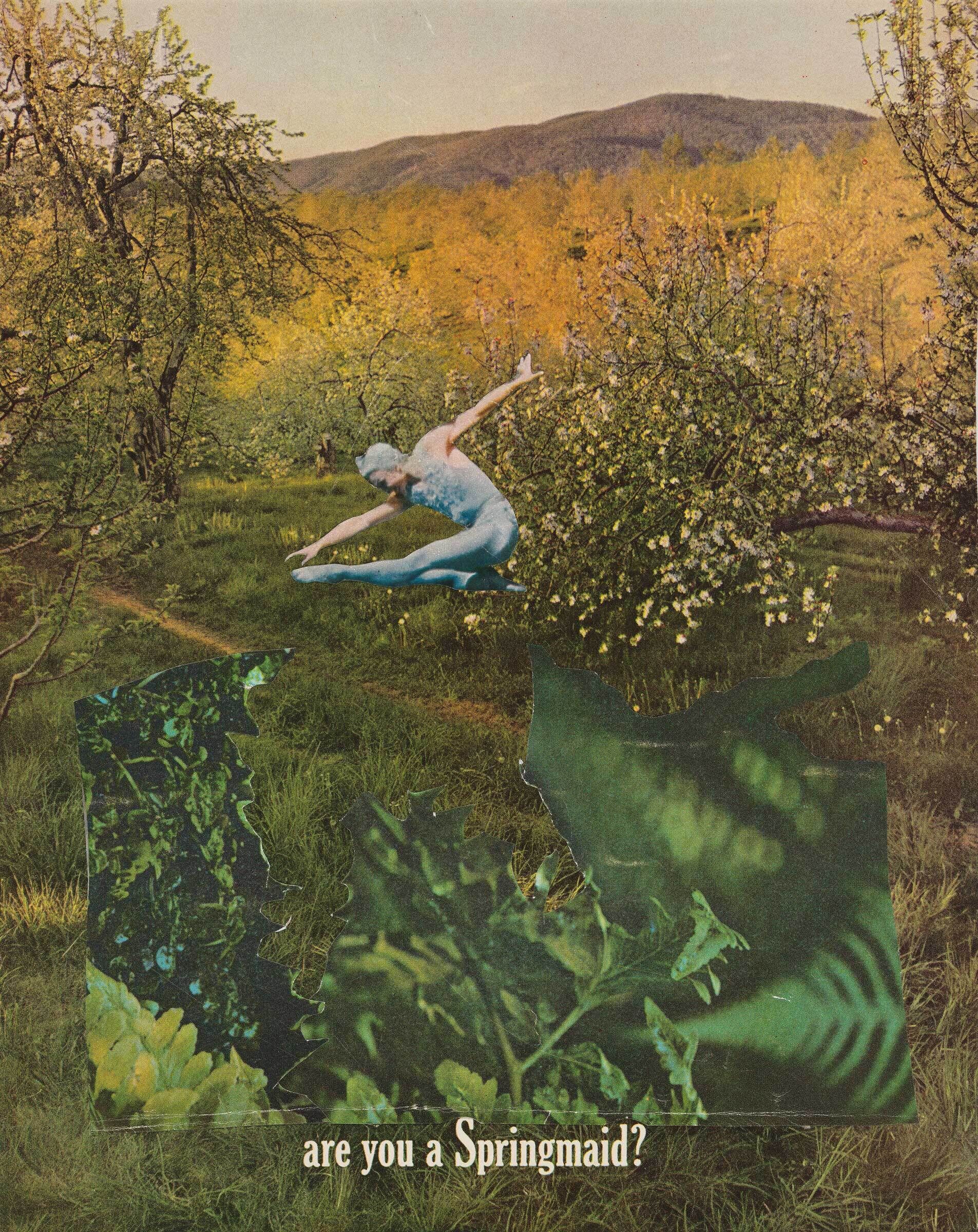 A person in a blue outfit leaps in a green orchard. Text at the bottom reads, "are you a Springmaid?"