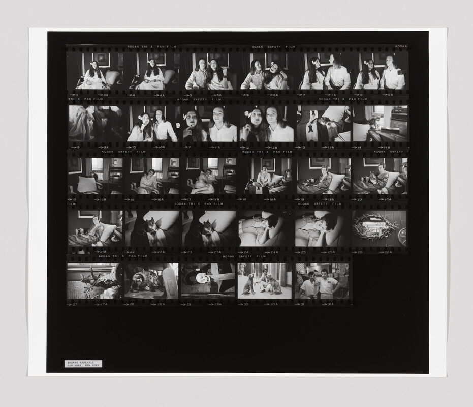 A contact sheet shows two women in various poses, sometimes with a dog, in a home setting.