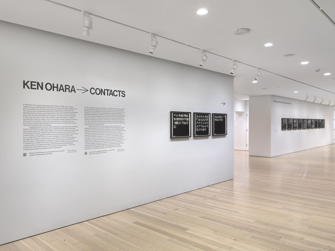 Ken Ohara Contacts exhibition text and framed contact sheet photographs displayed along a white gallery wall.