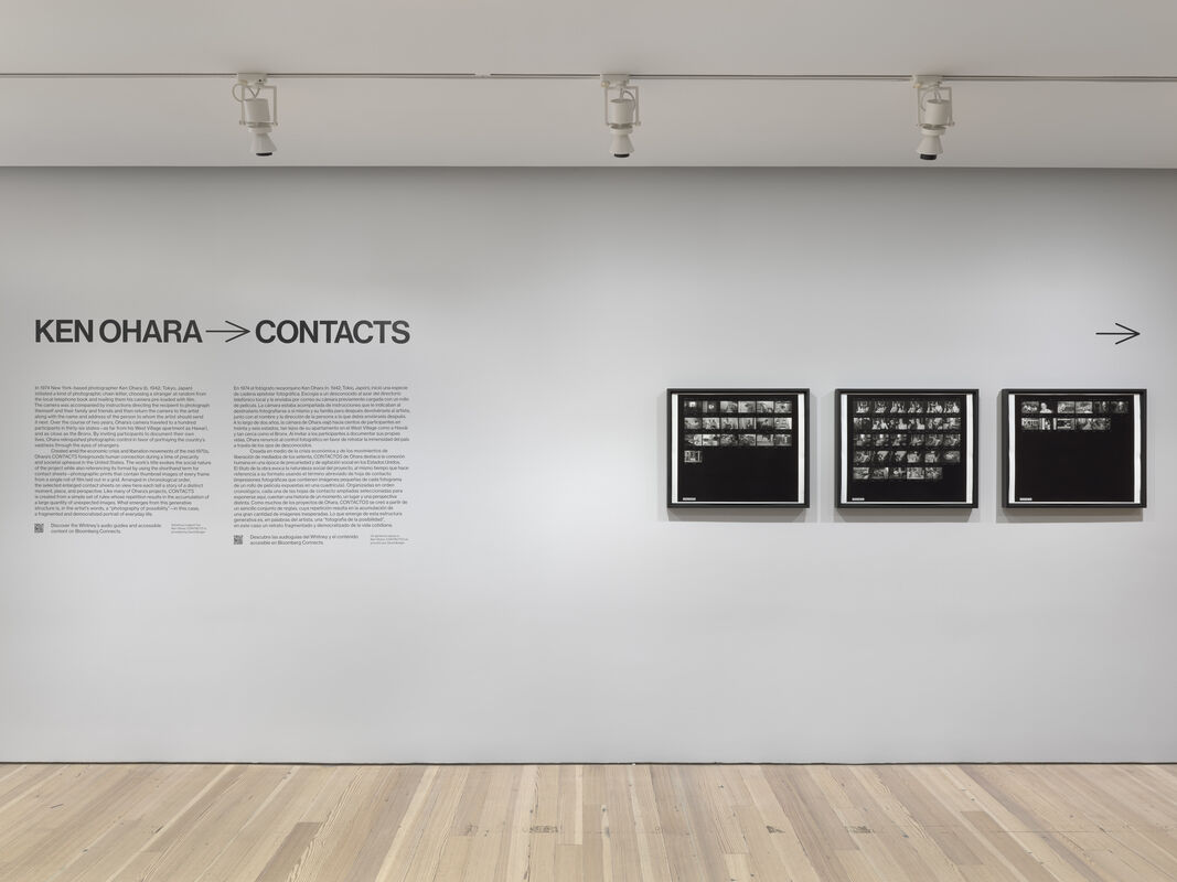 Gallery wall titled Ken Ohara → Contacts with three framed contact-sheet photographs evenly spaced.