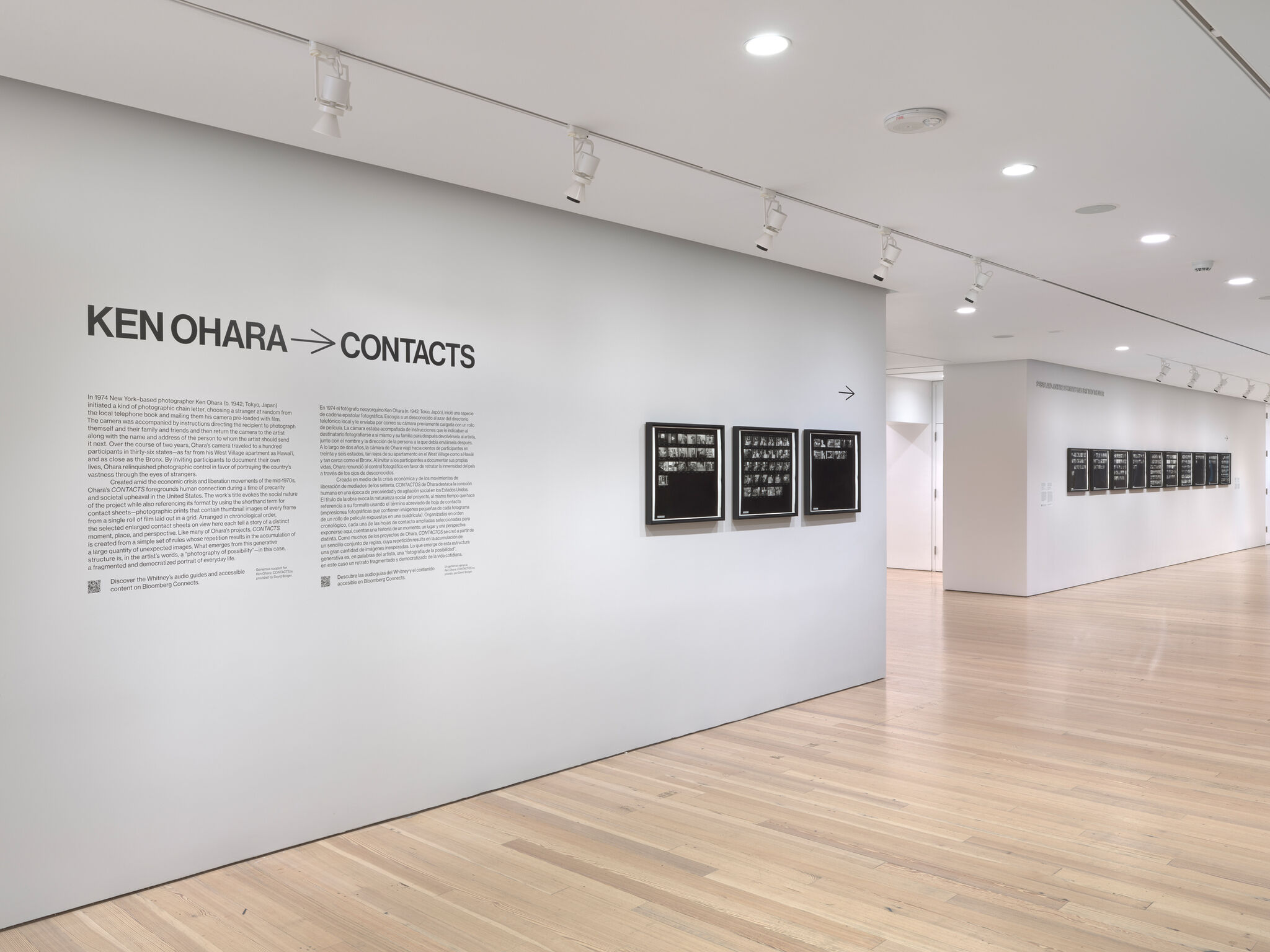 Pale gray gallery wall displaying "Ken Ohara Contacts" exhibition title and framed photographic contact sheets.