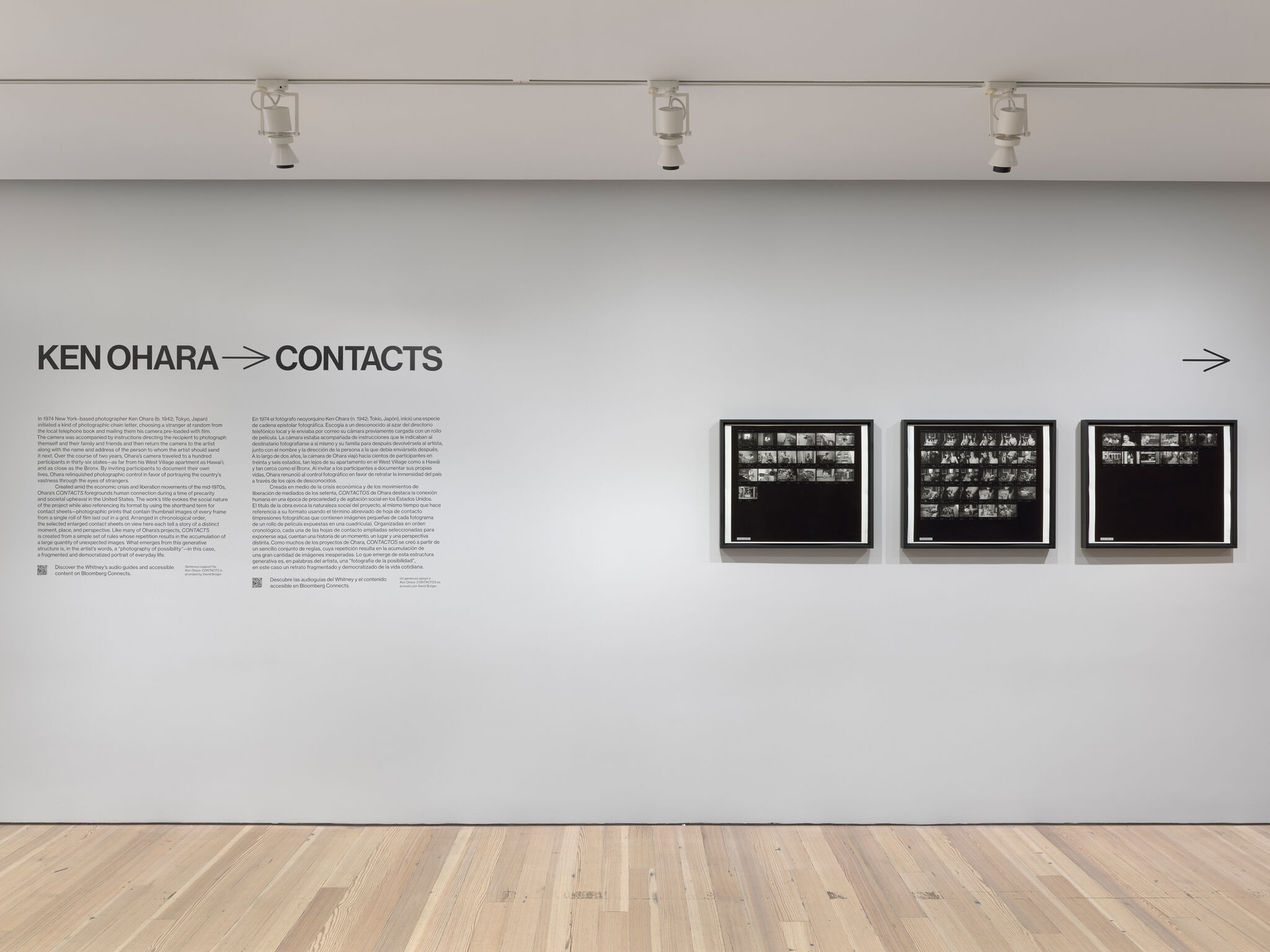 Gallery wall titled "Ken Ohara  Contacts" displays three framed photographic contact sheets.