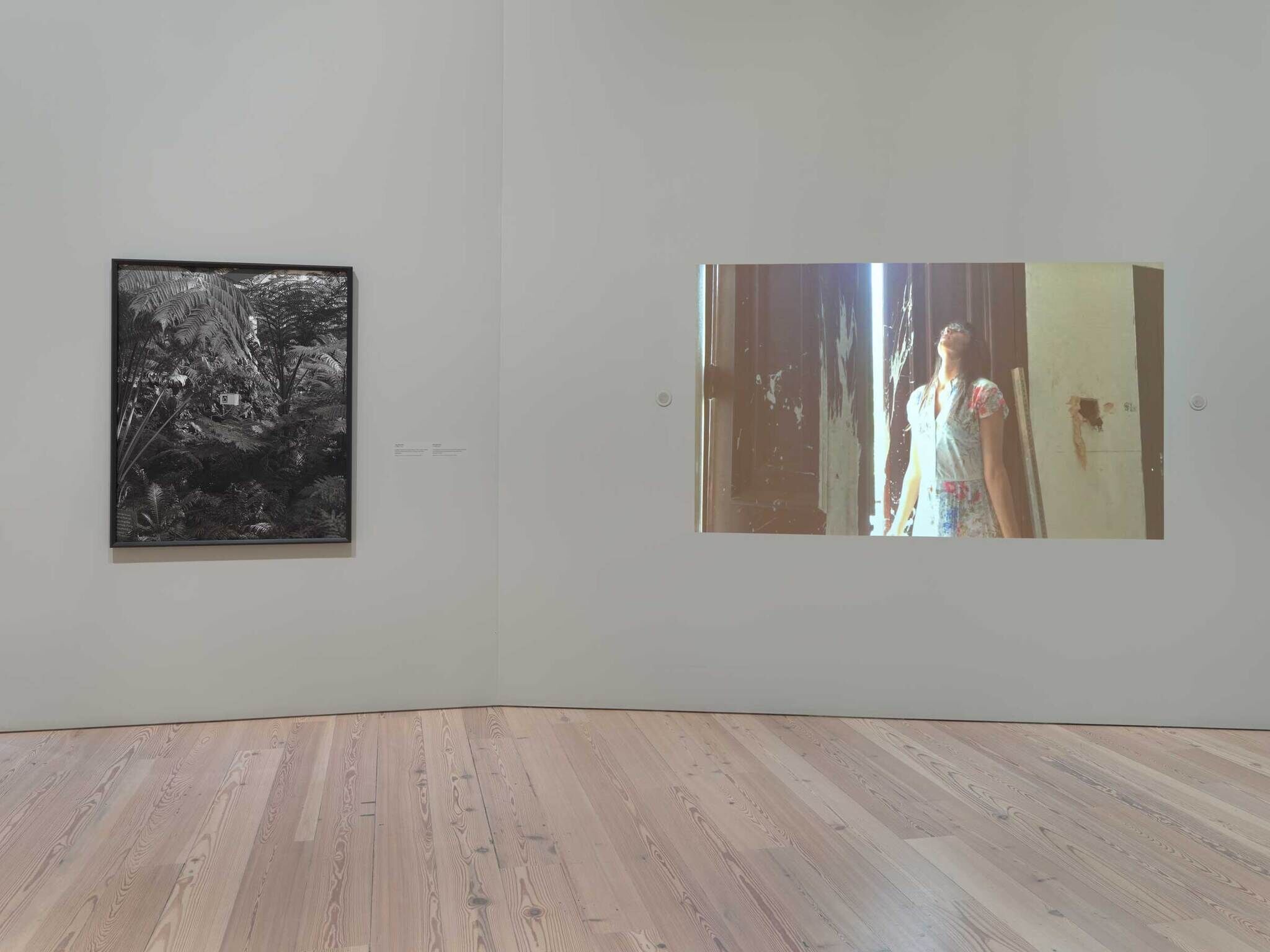 A gallery wall displays a black-and-white forest photograph and a projected video of a woman looking up.
