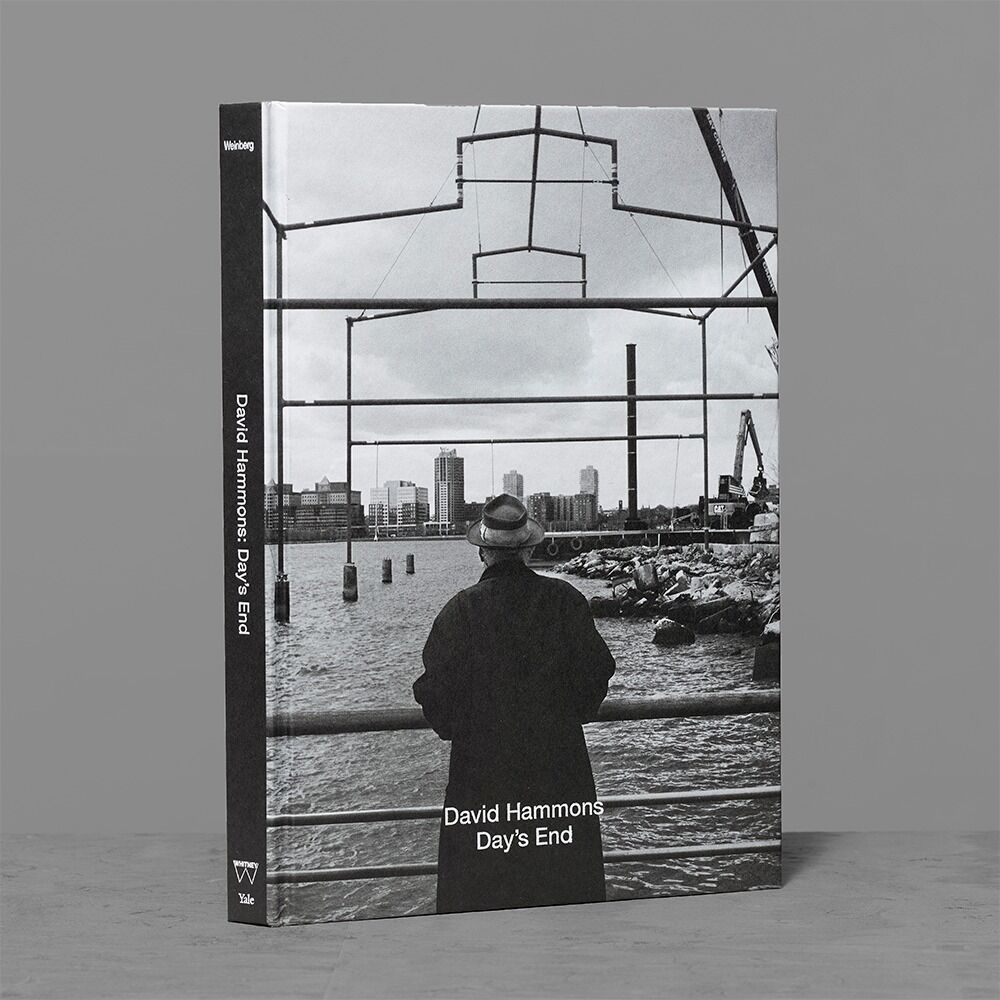 Person in a coat and hat looks across a waterfront on the book cover titled David Hammons Day's End.