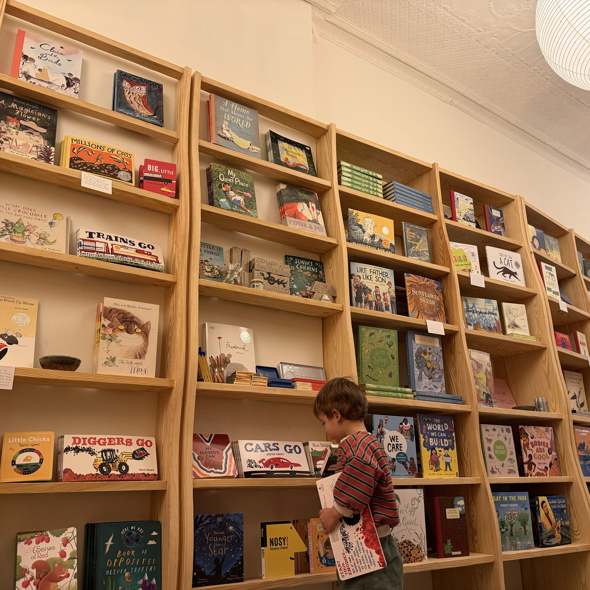 A young boy stands at wooden shelves in a bookstore, holding and looking at children's books.