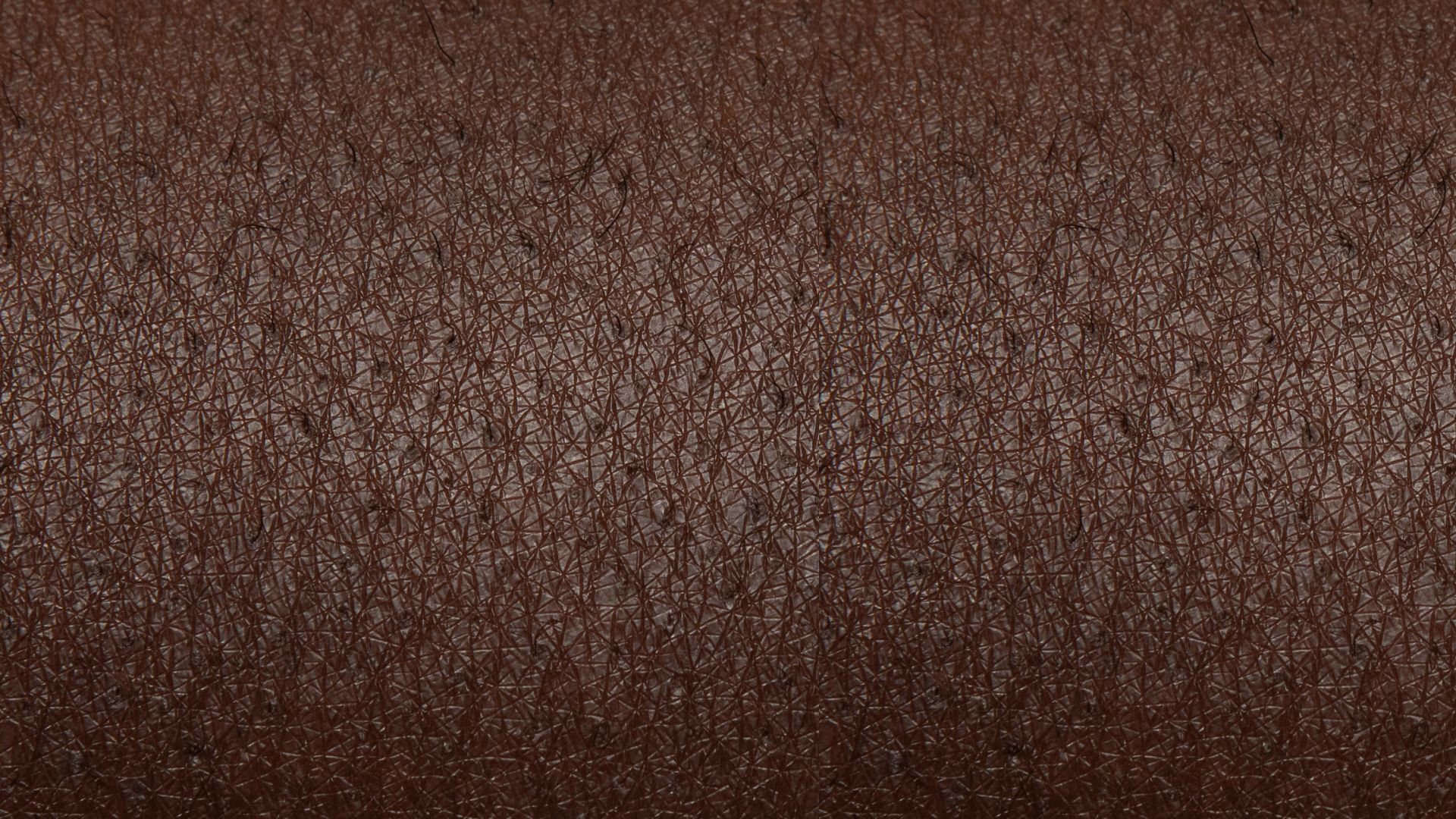 A closeup image of textured dark brown skin.
