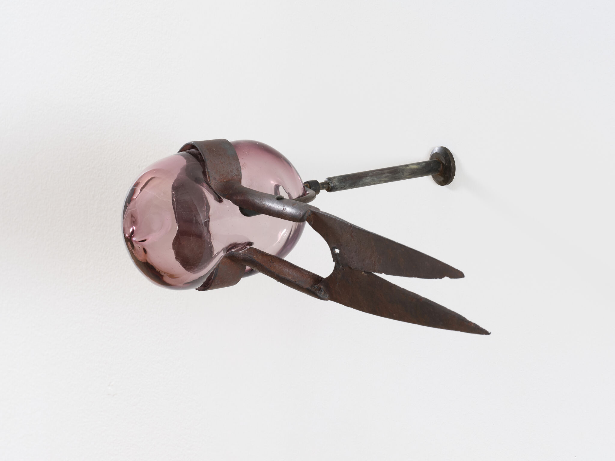 Rusty metal shears clamping a pink glass orb mounted on a white wall.