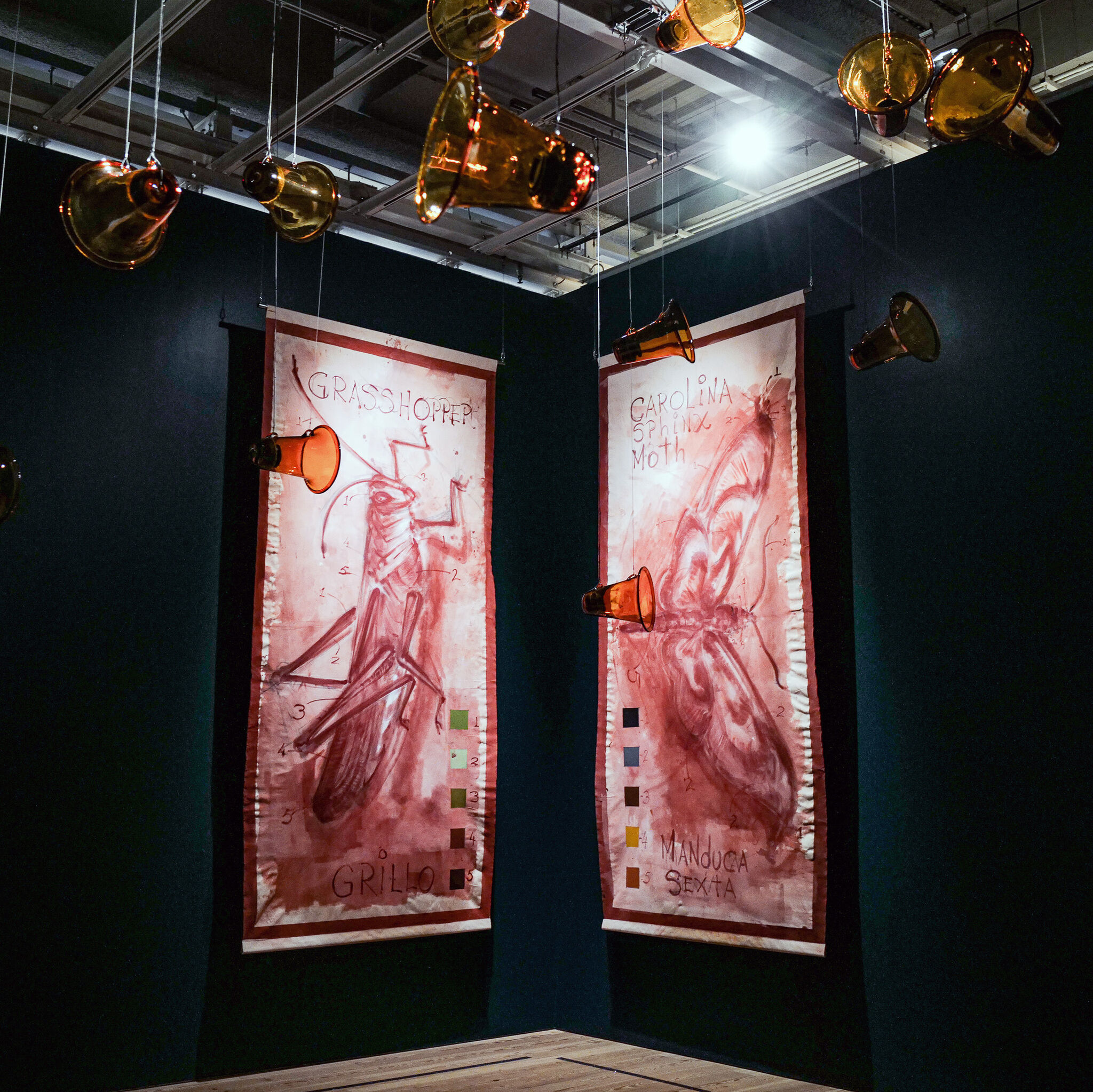 Two large hanging banners show labeled insect drawings while amber glass horns dangle from the ceiling.