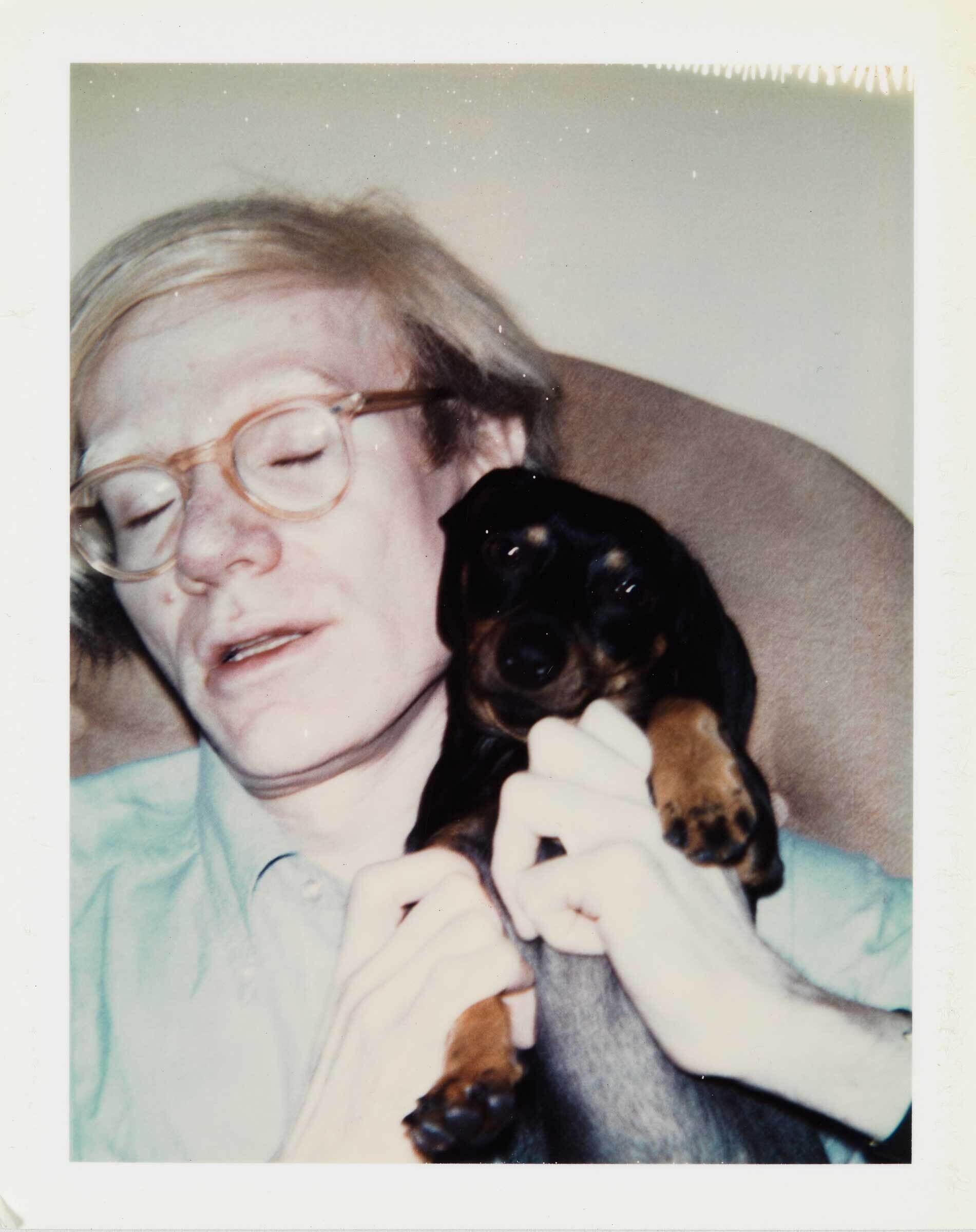 Person with glasses holds a small black-and-tan dachshund puppy close to their chest.