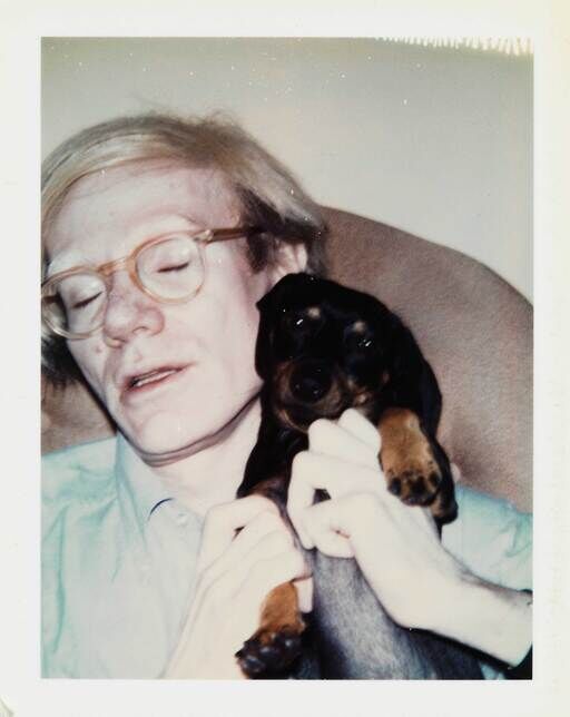 Person with glasses holds a small black-and-tan dachshund puppy close to their chest.