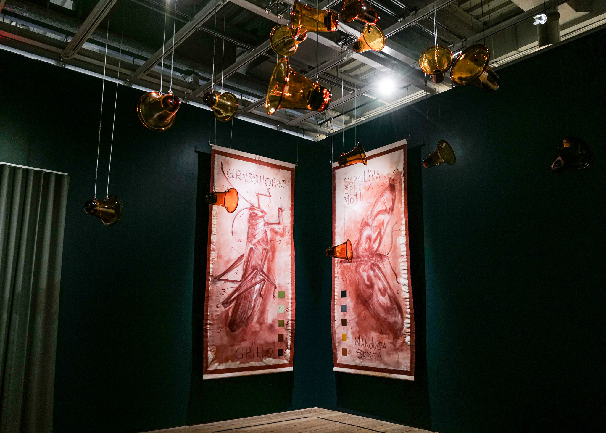 Two large red insect banners labeled Grasshopper and Carolina sphinx moth hang beneath suspended amber glass horns.